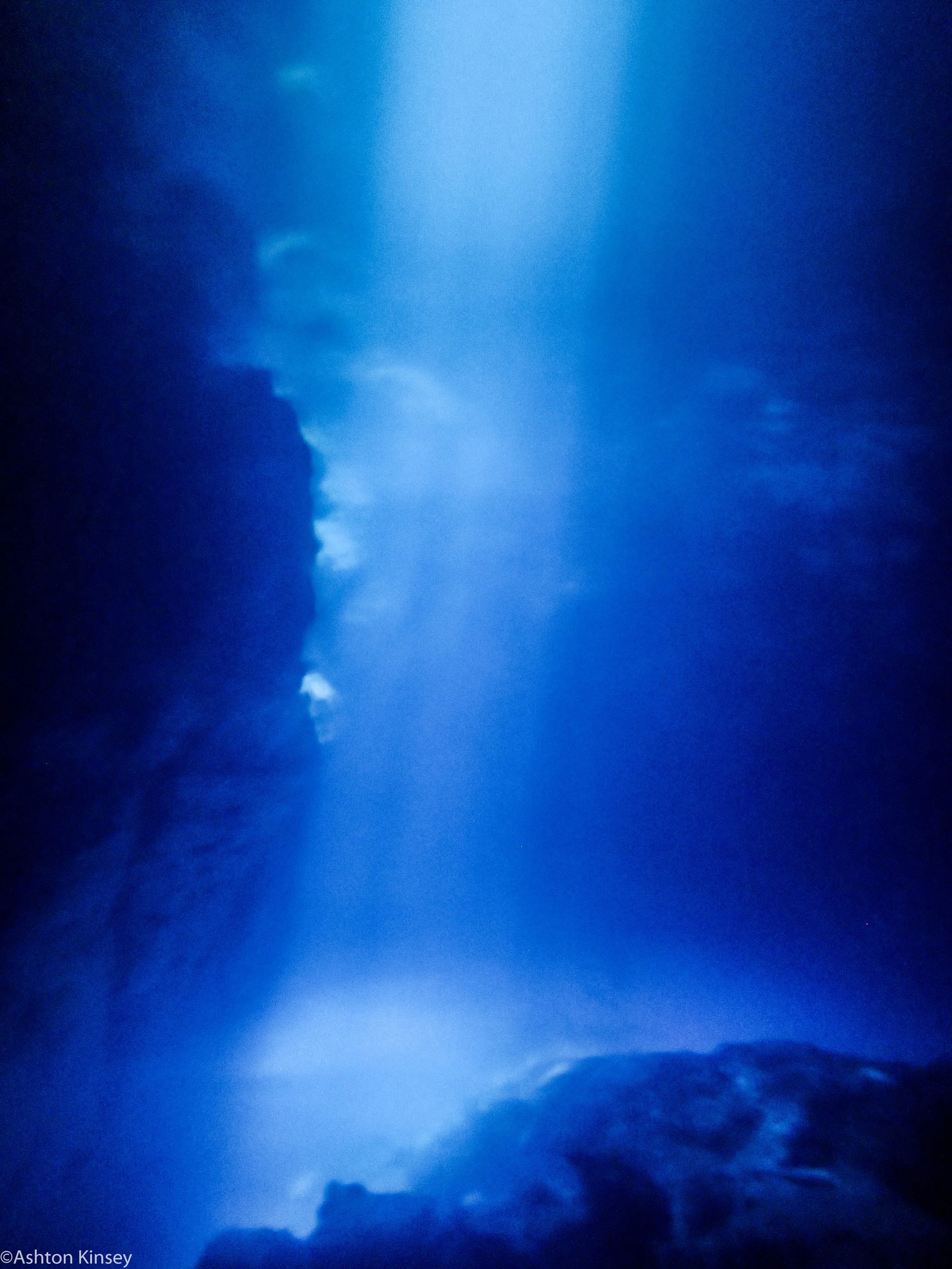 El Pit Halocline.jpg