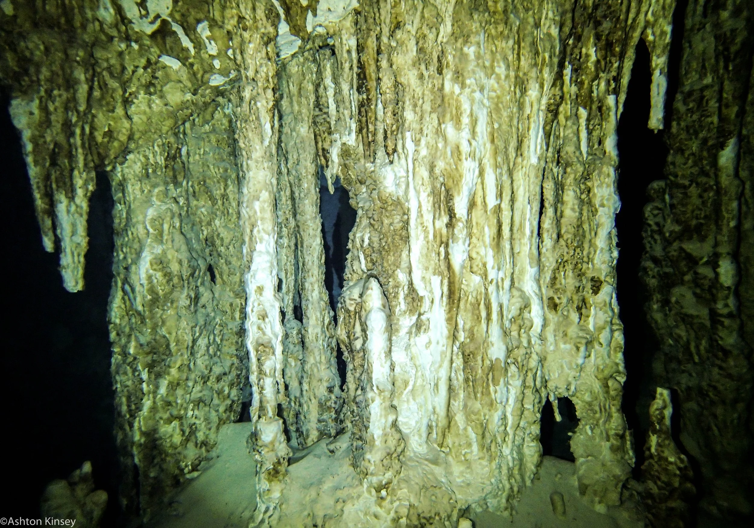 Dos Ojos cave-3.jpg