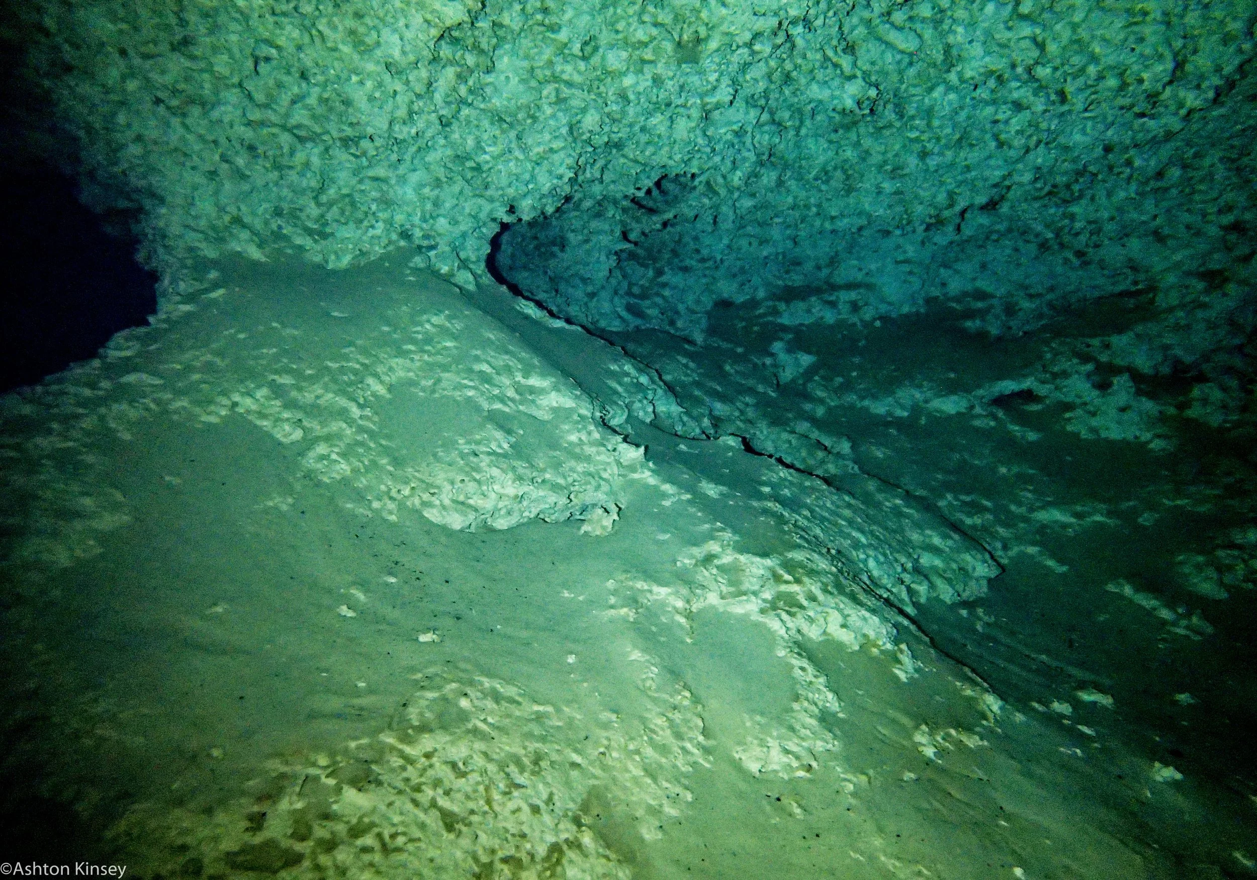 Dos Ojos cave-5.jpg
