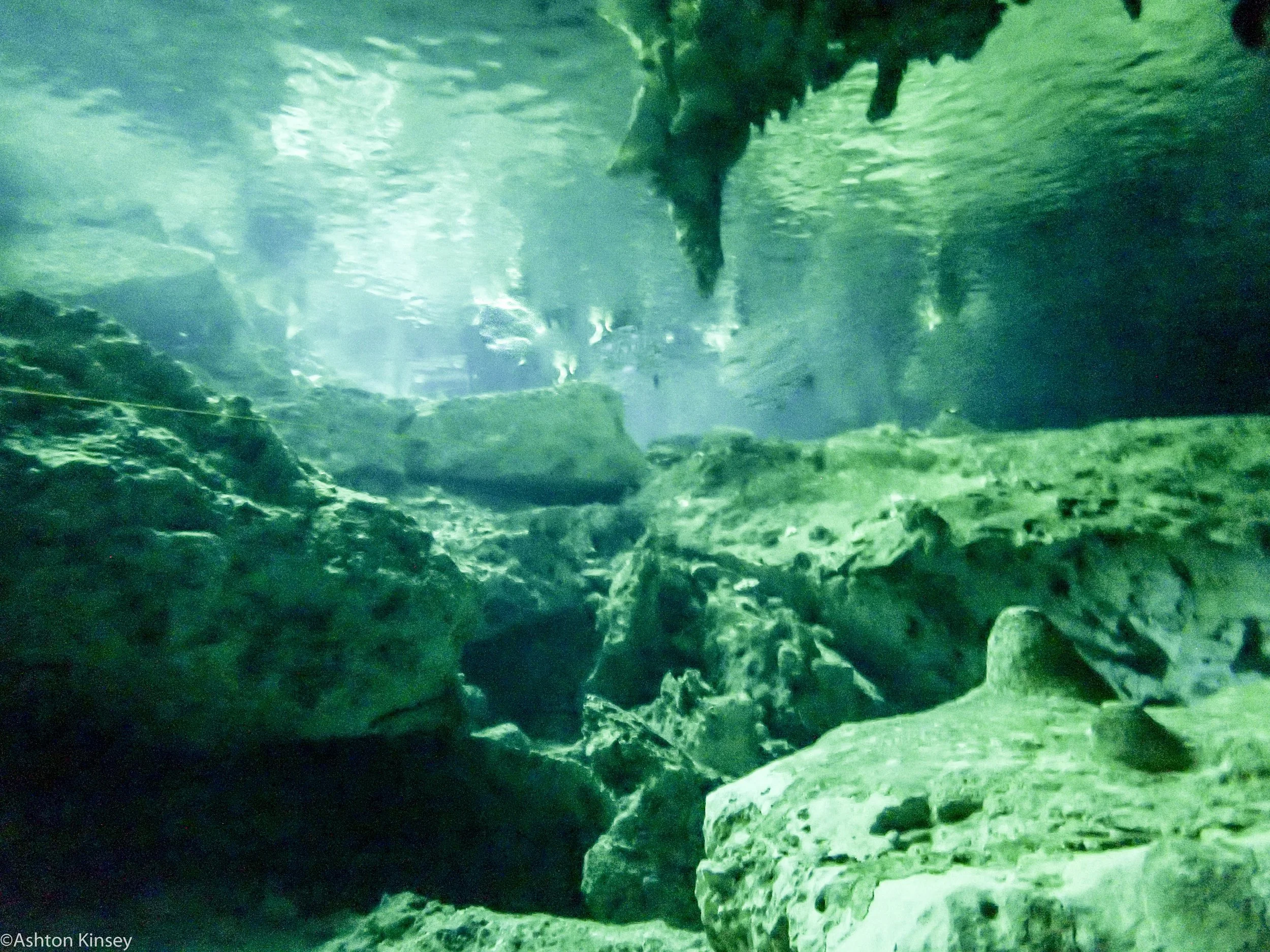 Dos Ojos cave-6.jpg