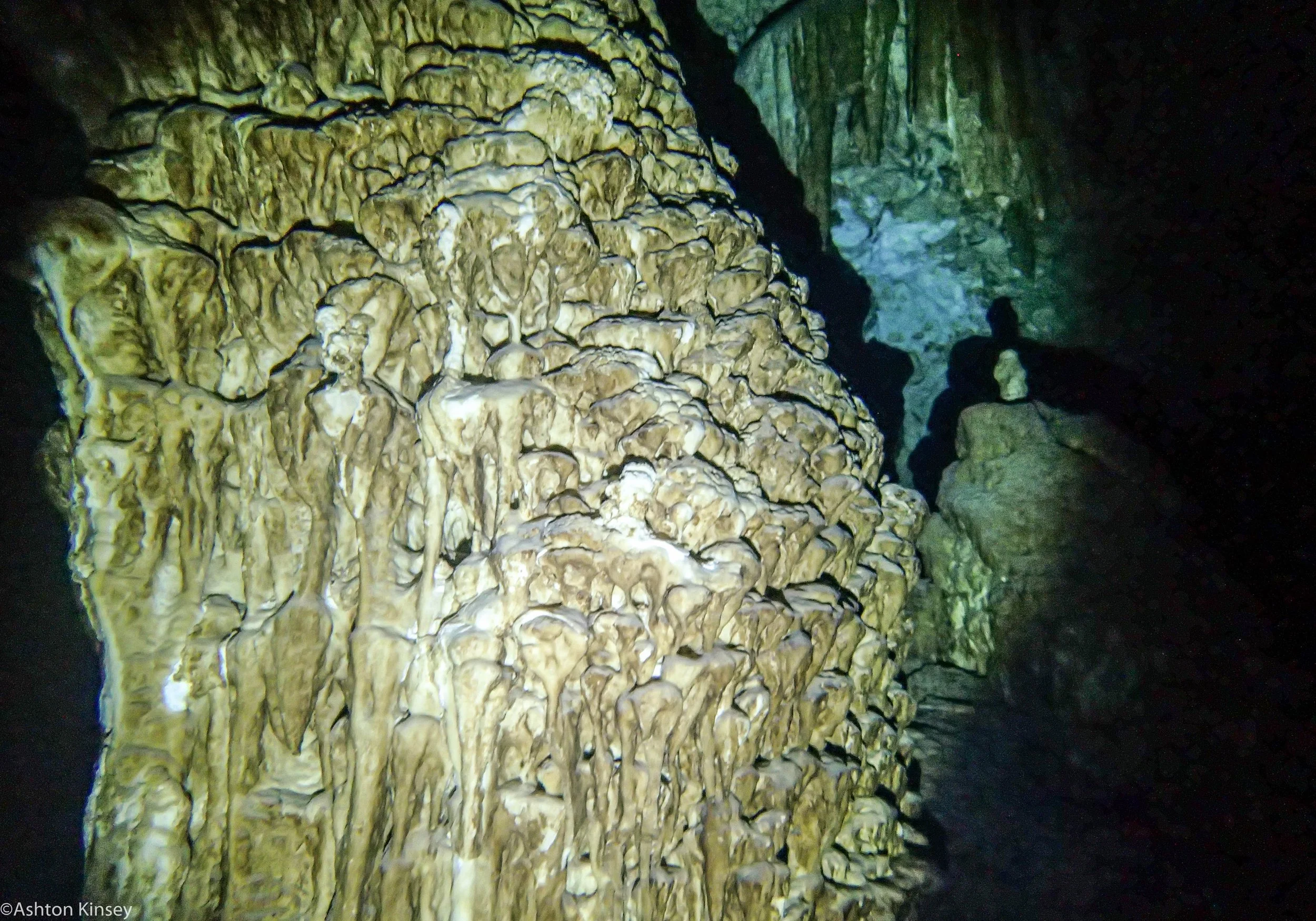 Dos Ojos cave-7.jpg