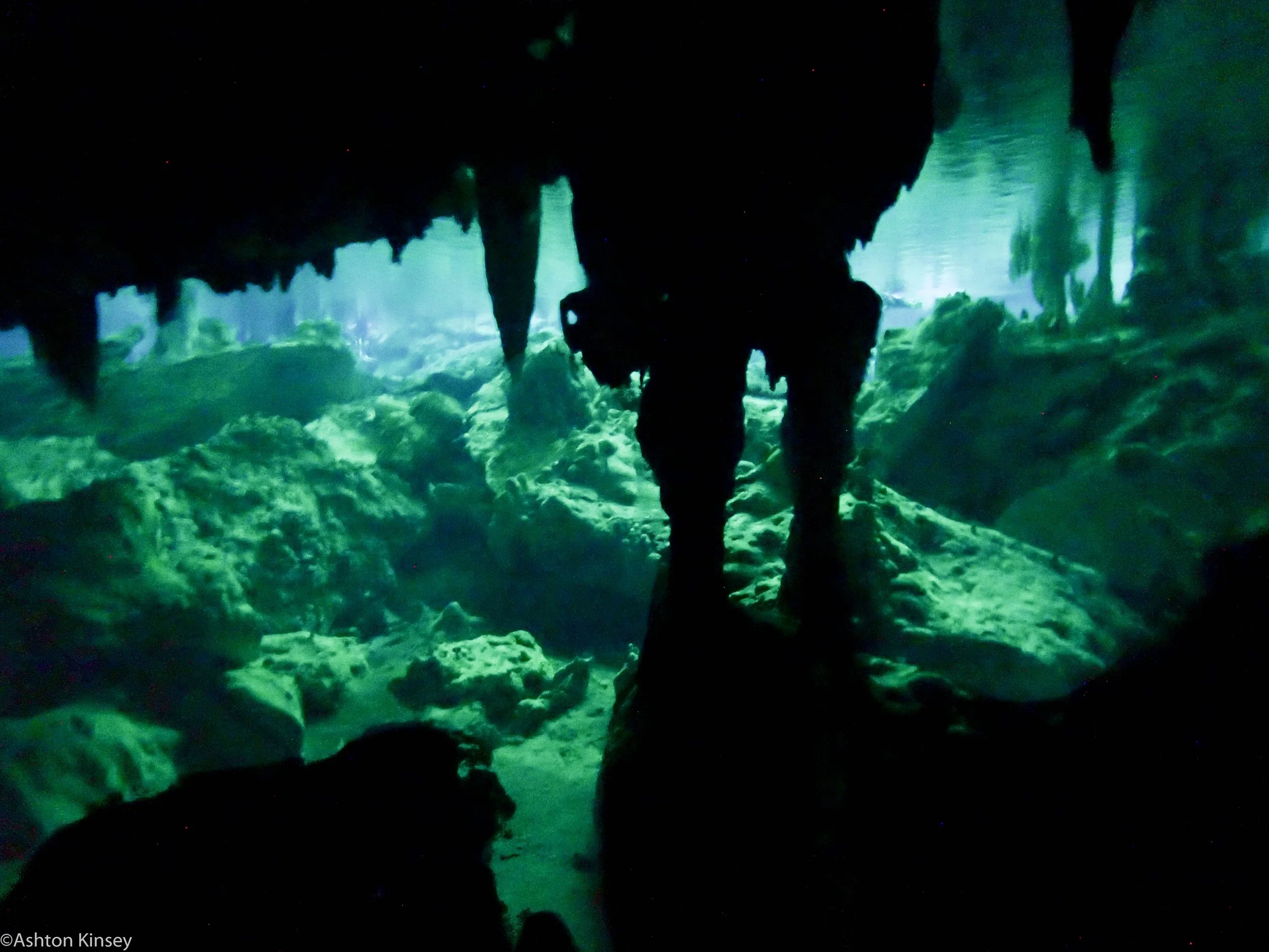 Dos Ojos cave-8.jpg