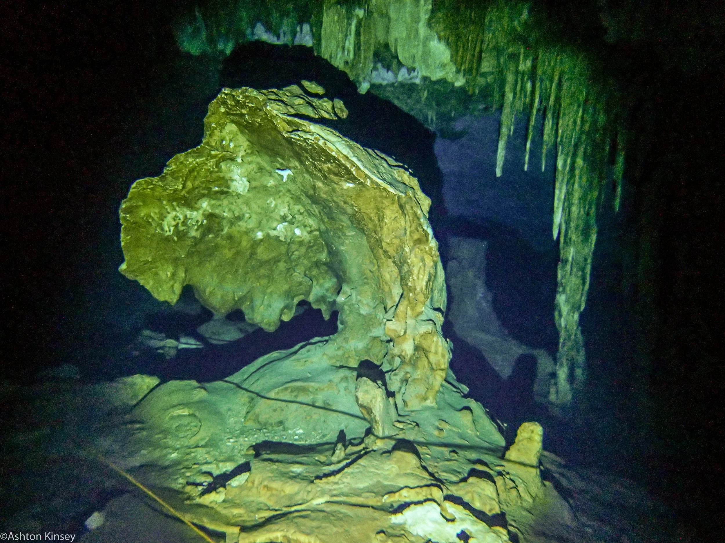 Dos Ojos cave-9.jpg