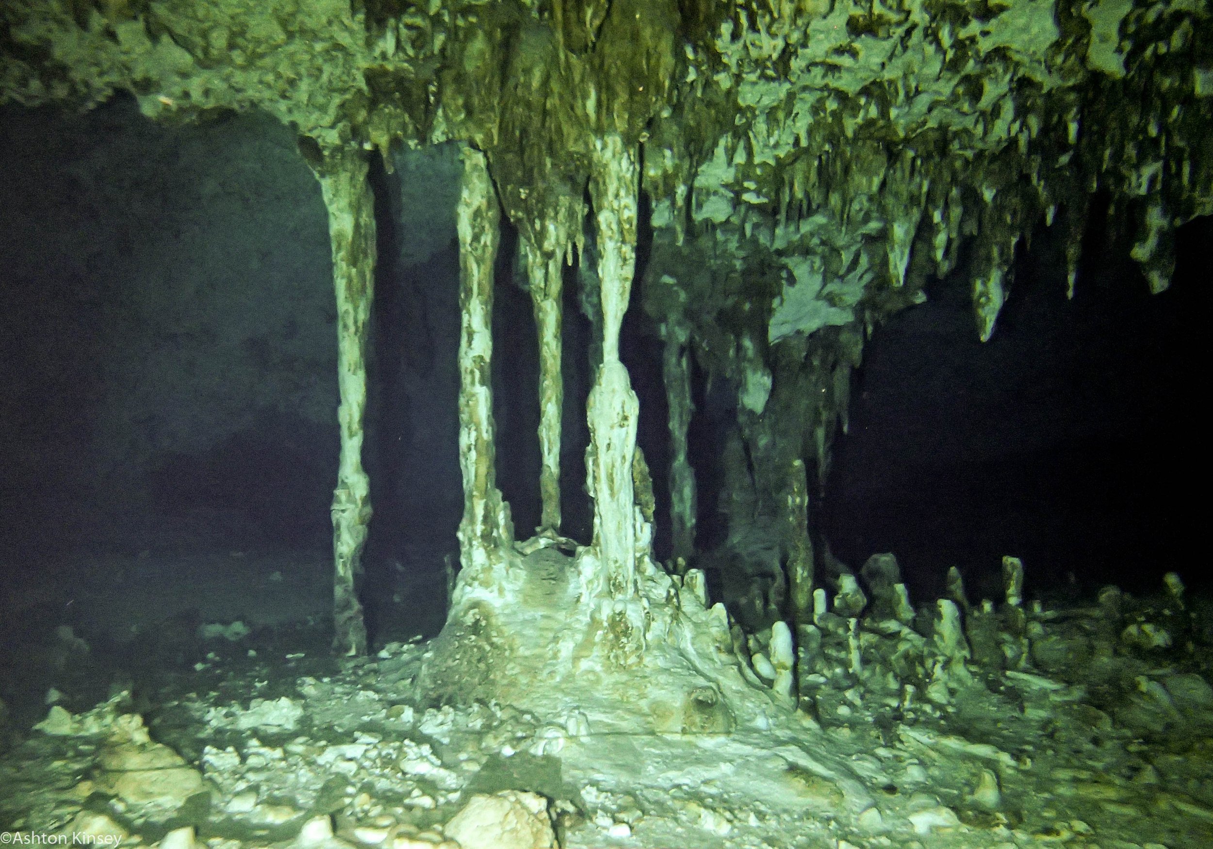 Dos Ojos cave-10.jpg