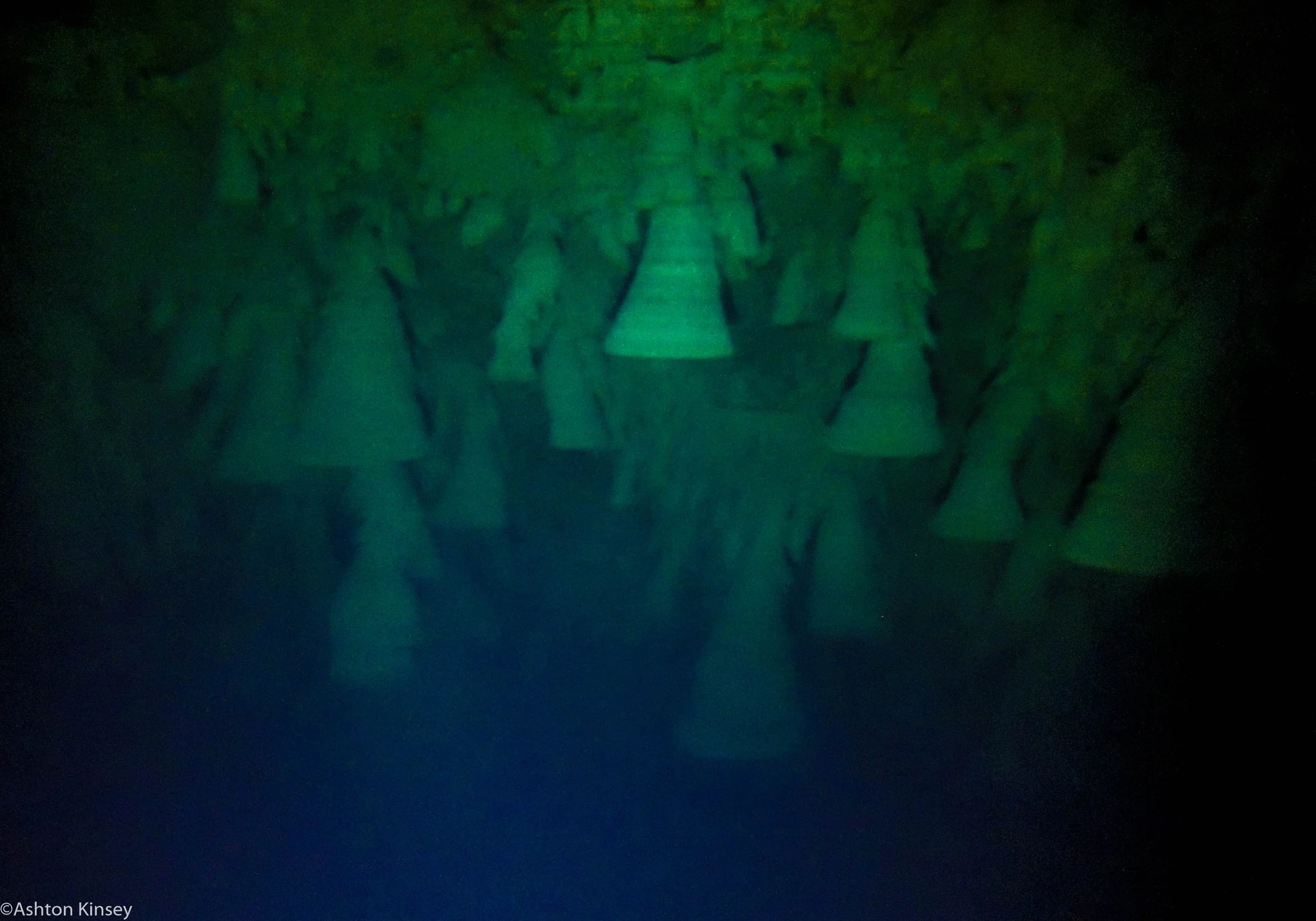 Zapote bells.jpg