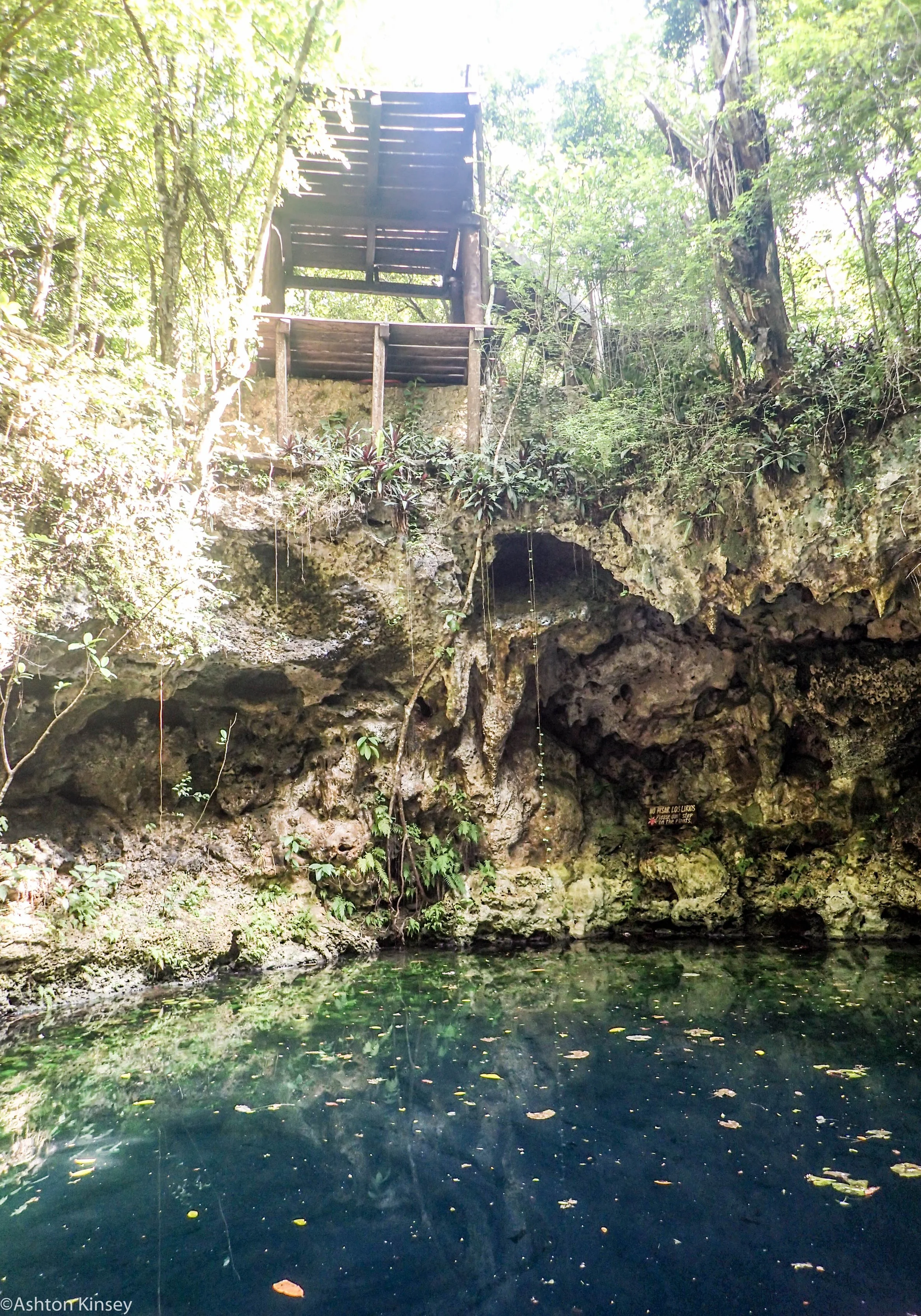 Zapote entrance1.jpg