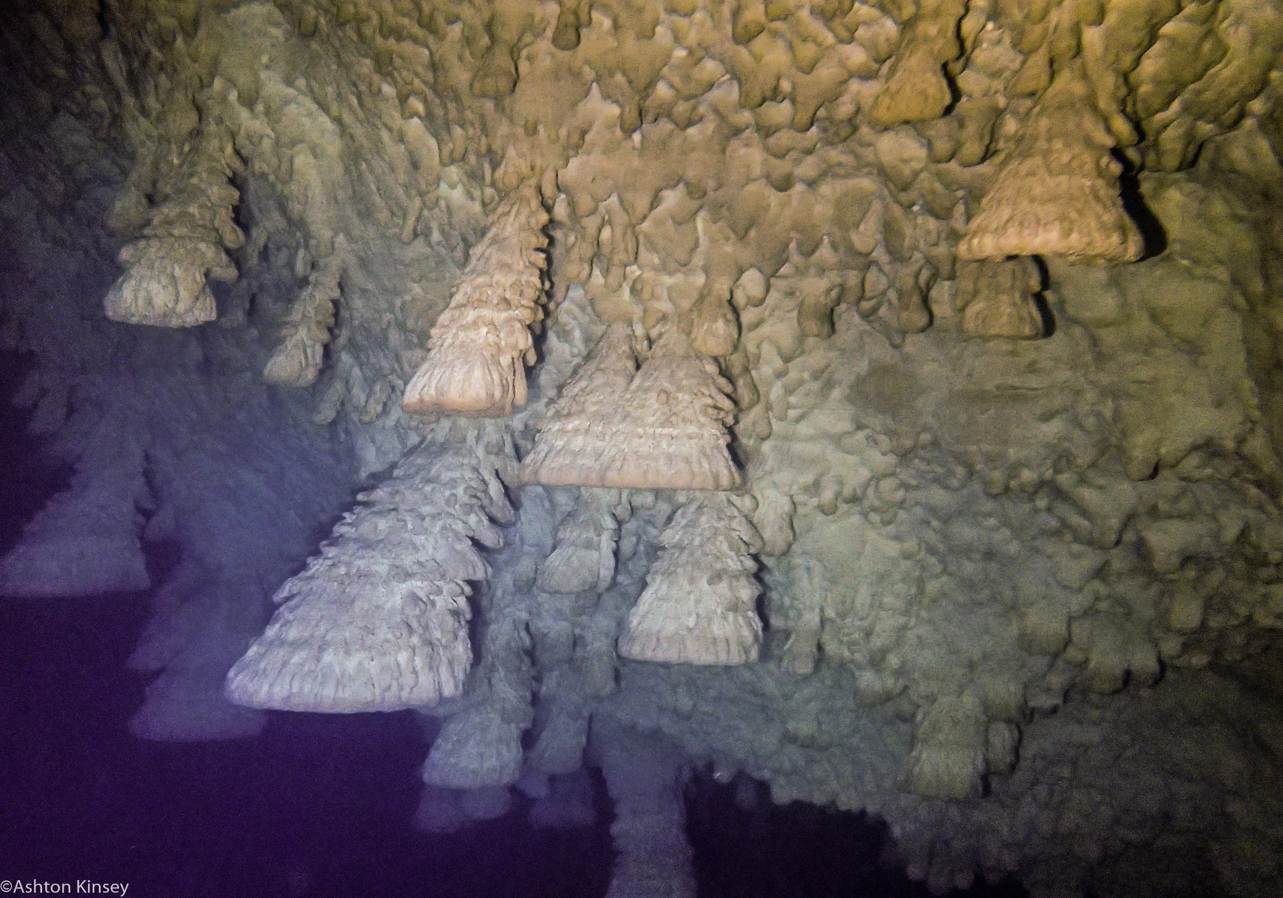 Kin Ha Bells-2.jpg