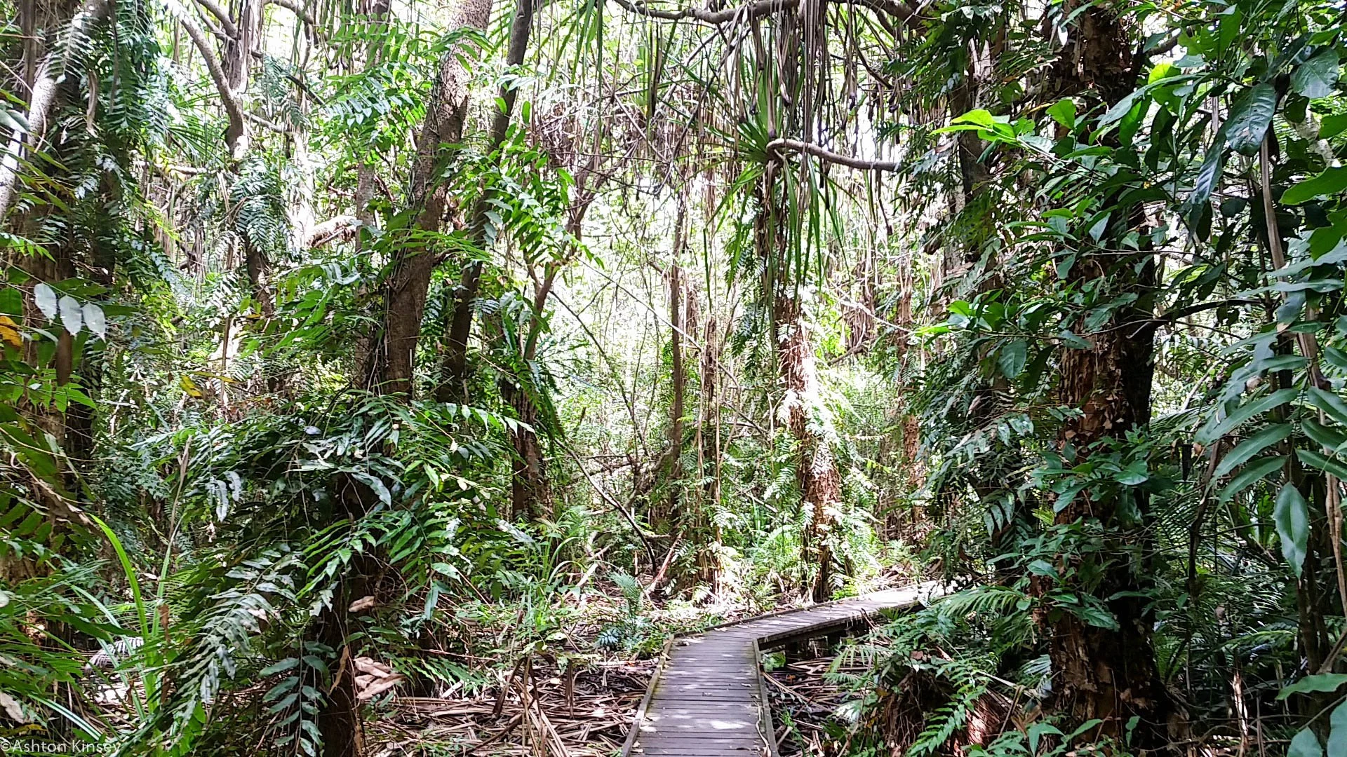 garden walk-4.jpg