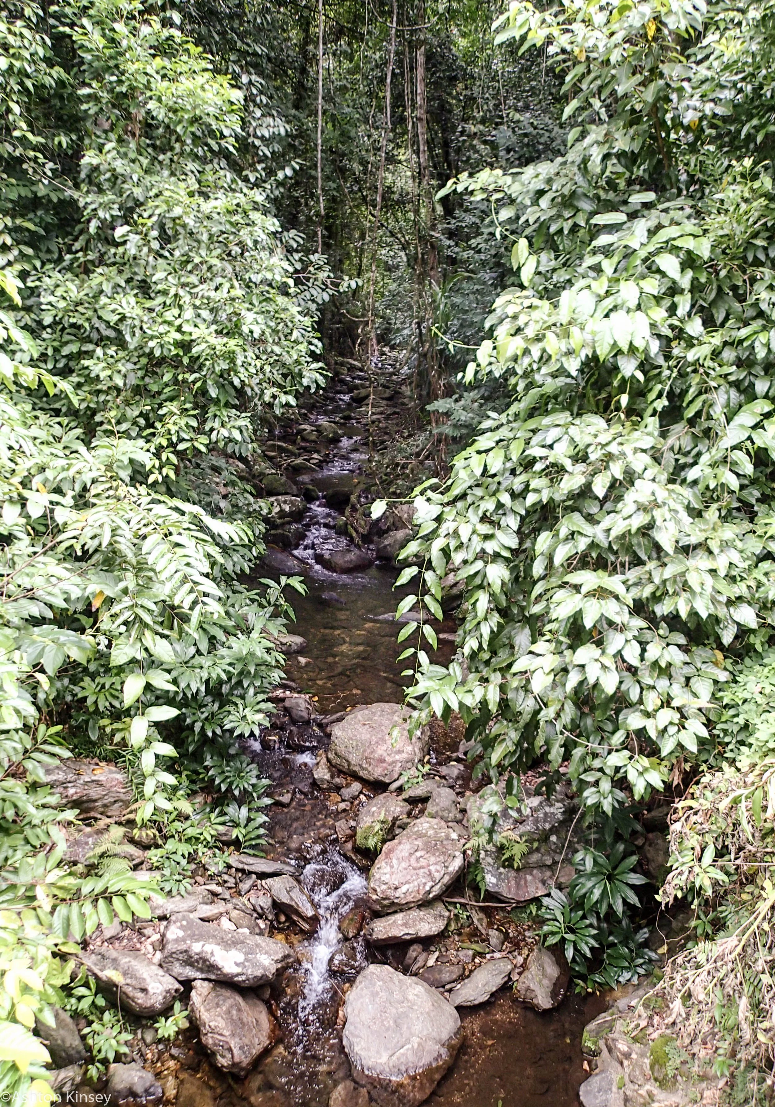 Crystal Cascades_.jpg