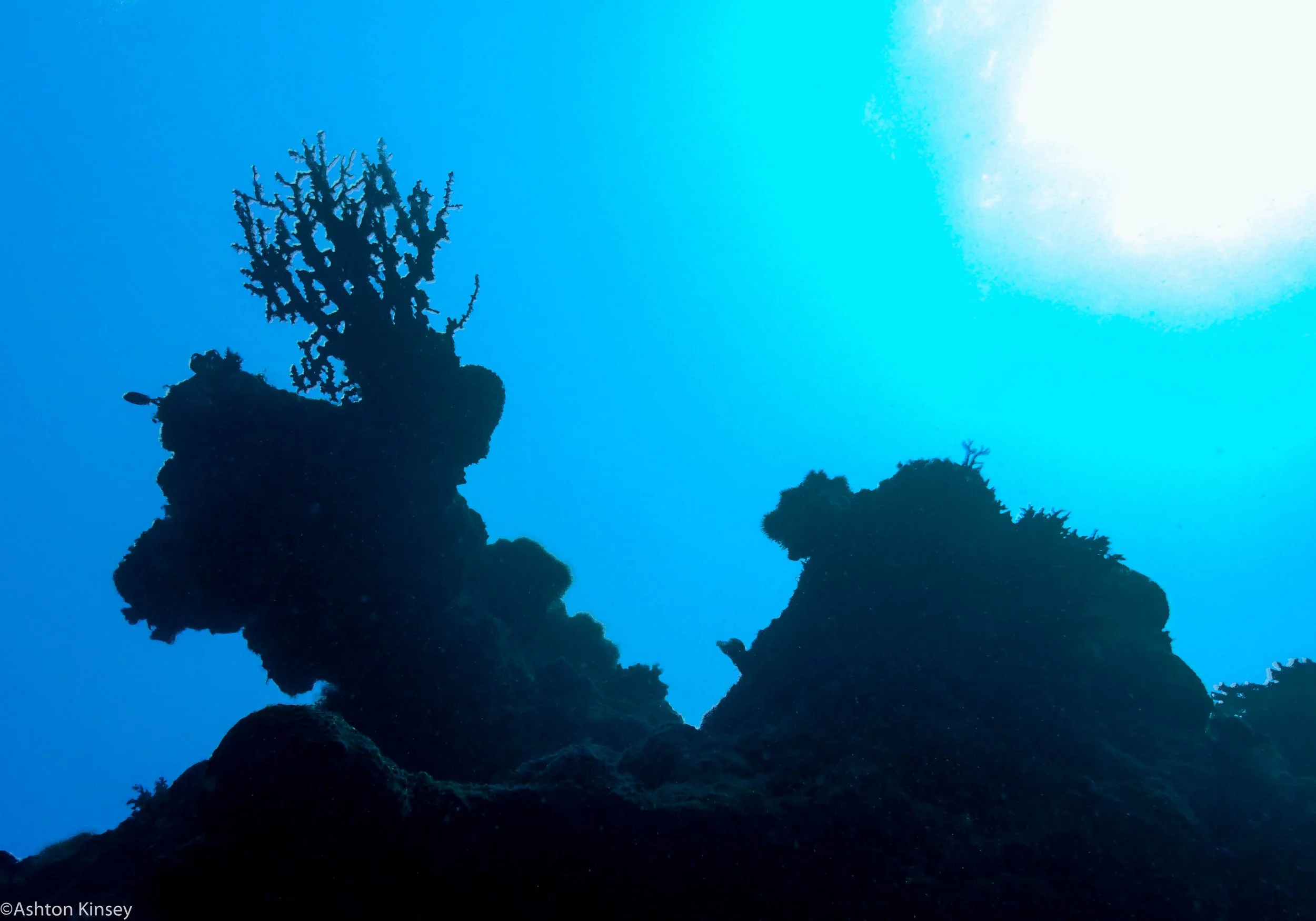 Dive 3 Gotham City Sun.jpg