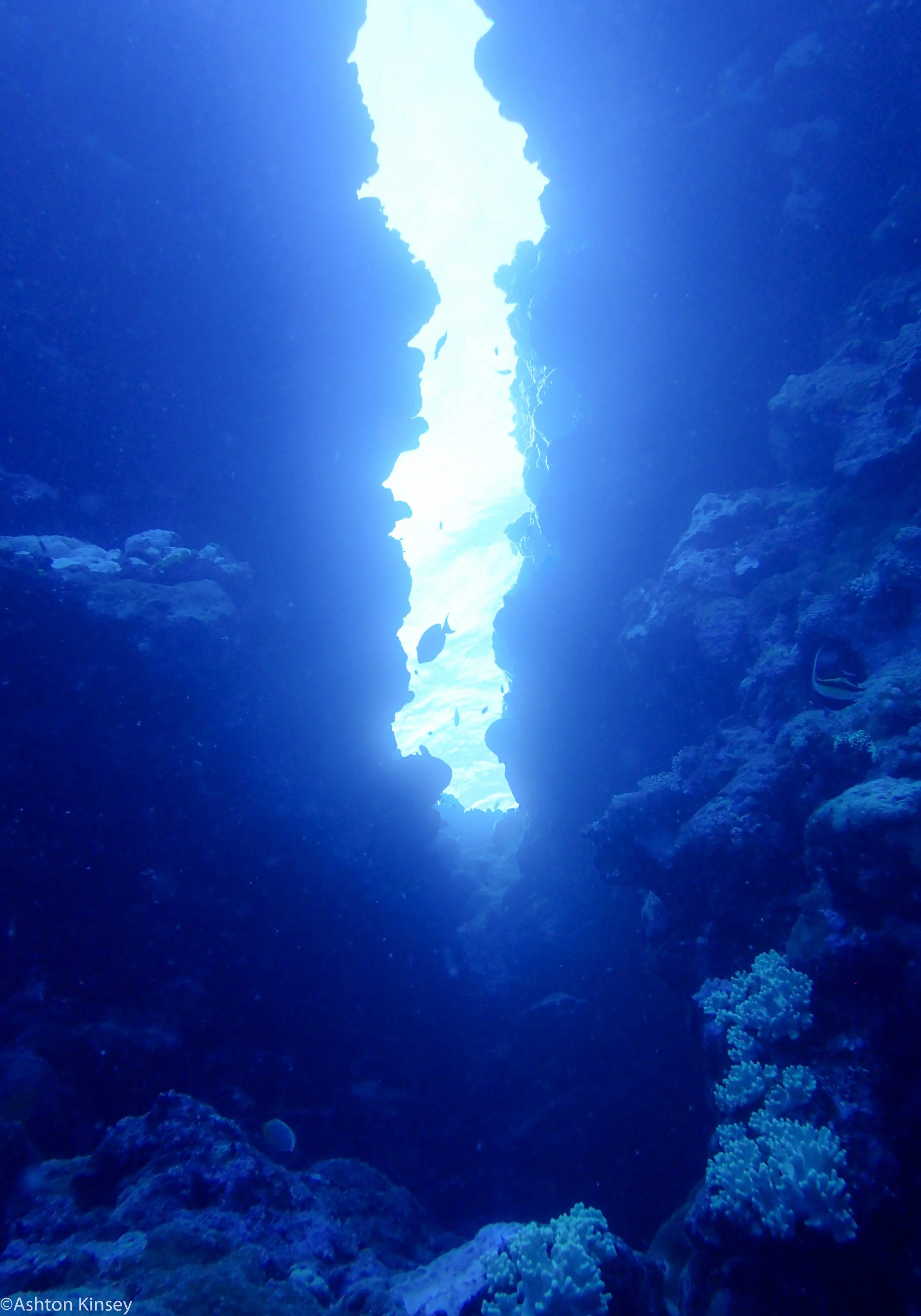 Dive 5 Fairy Grotto Carnation crack.jpg