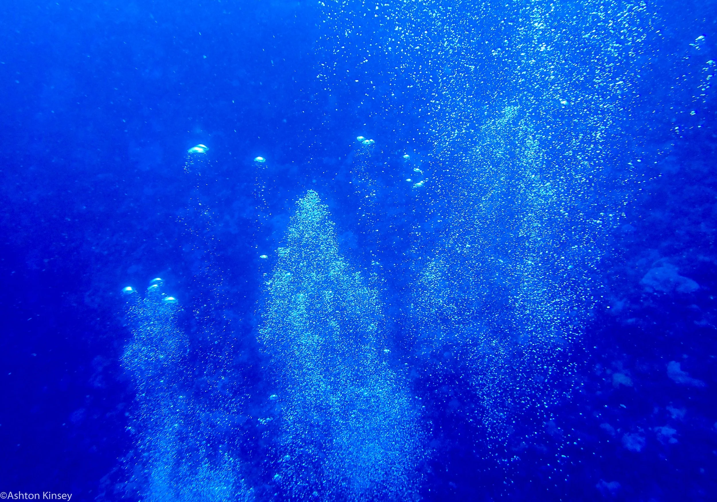 Dive 5 Fairy Grotto Bubbles.jpg