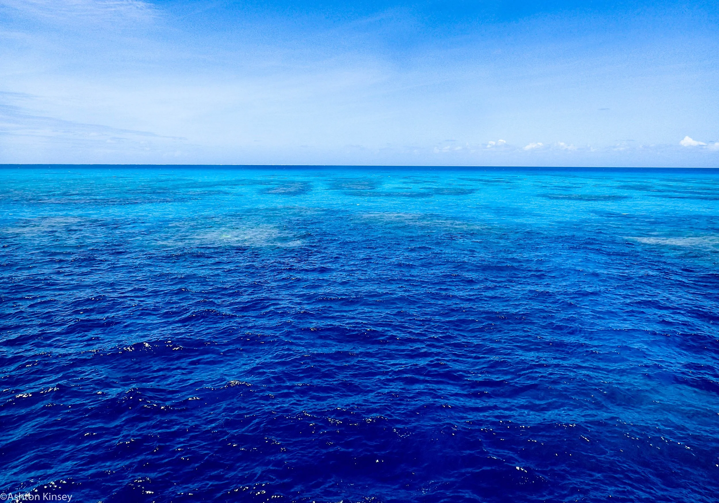 Dive 7 Half Poiint Coral Sea.jpg