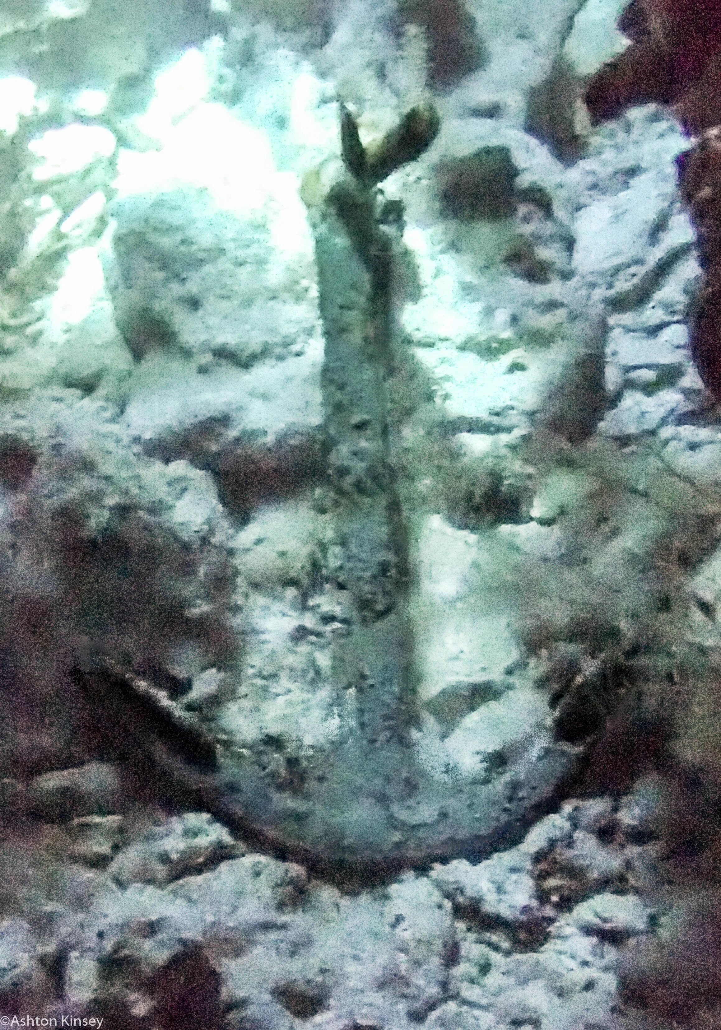 Dive 12 Admiralty Anchor Anchor.jpg