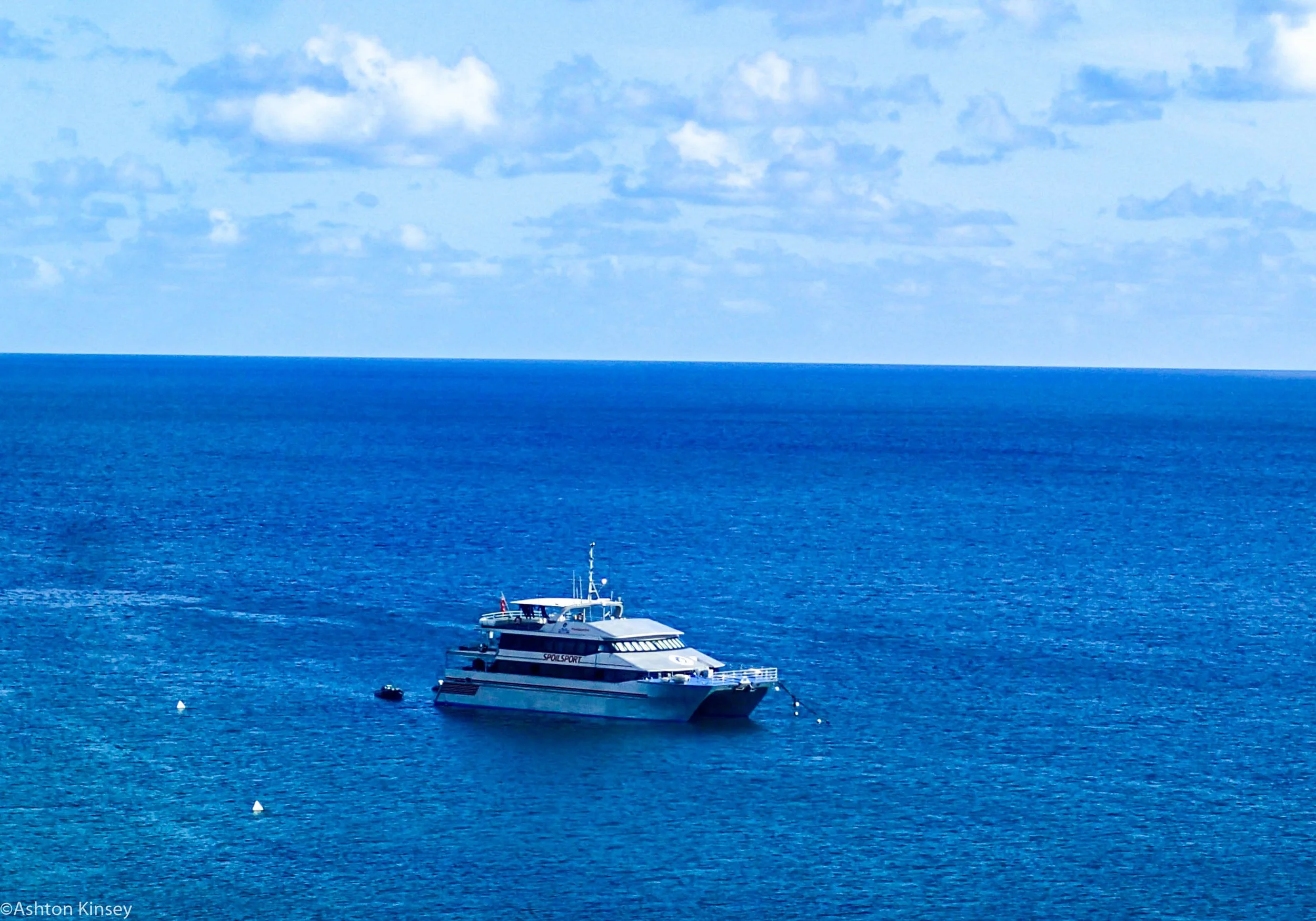 Dive 13.2 Lizard Island-Spoilsport.jpg