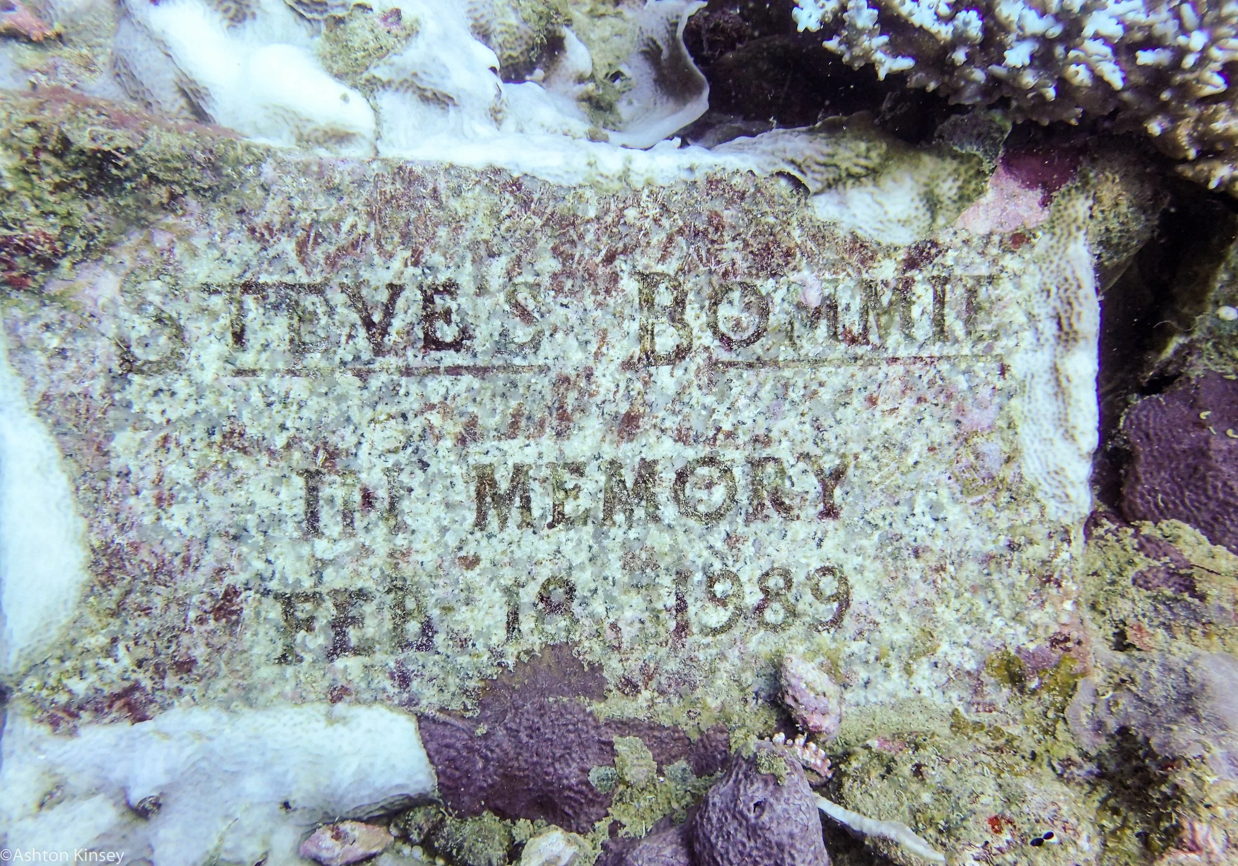 Dive 23 Steve's Bommie Plaque.jpg