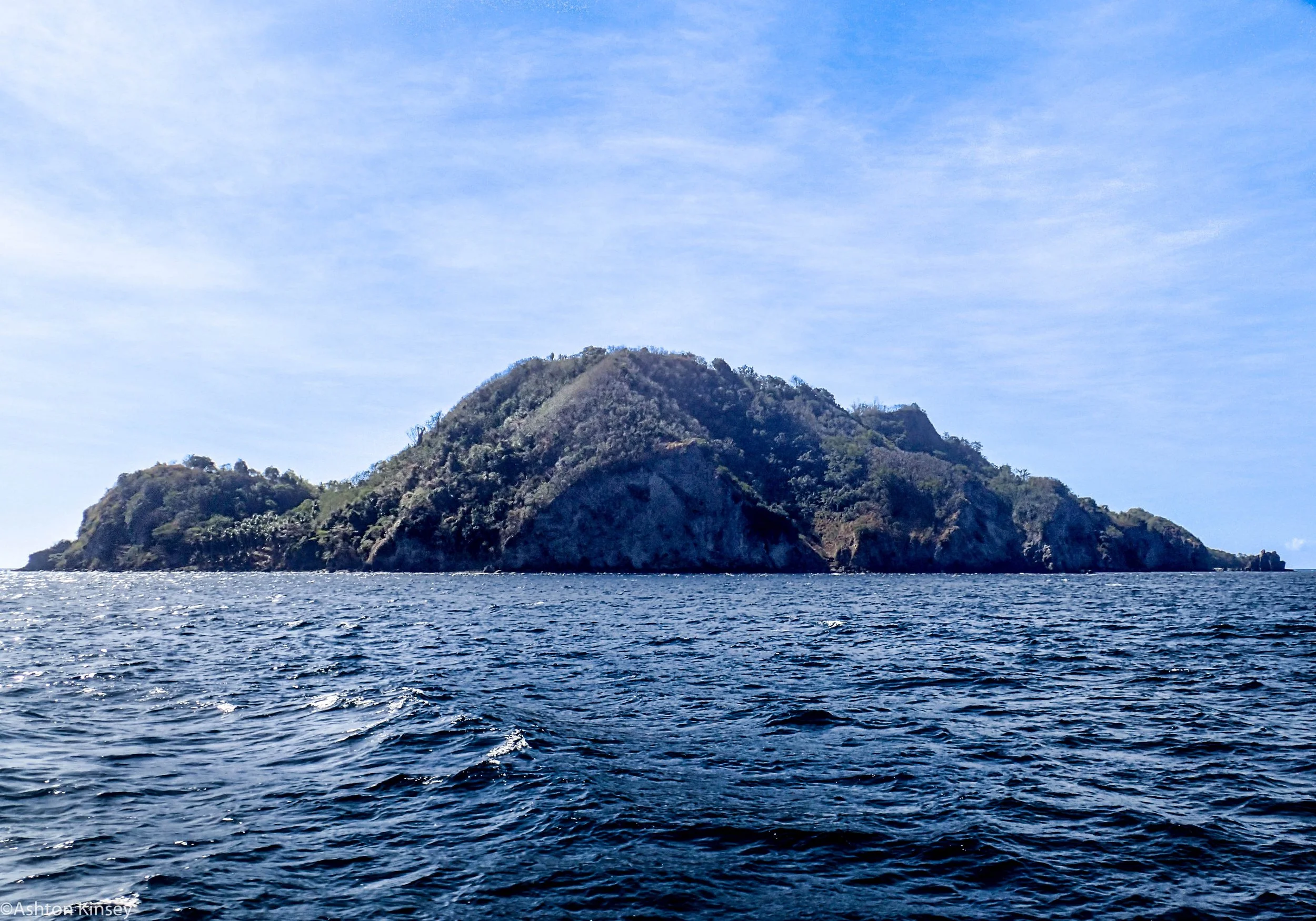 Chaple Poiint Apo Island Dive 7.jpg