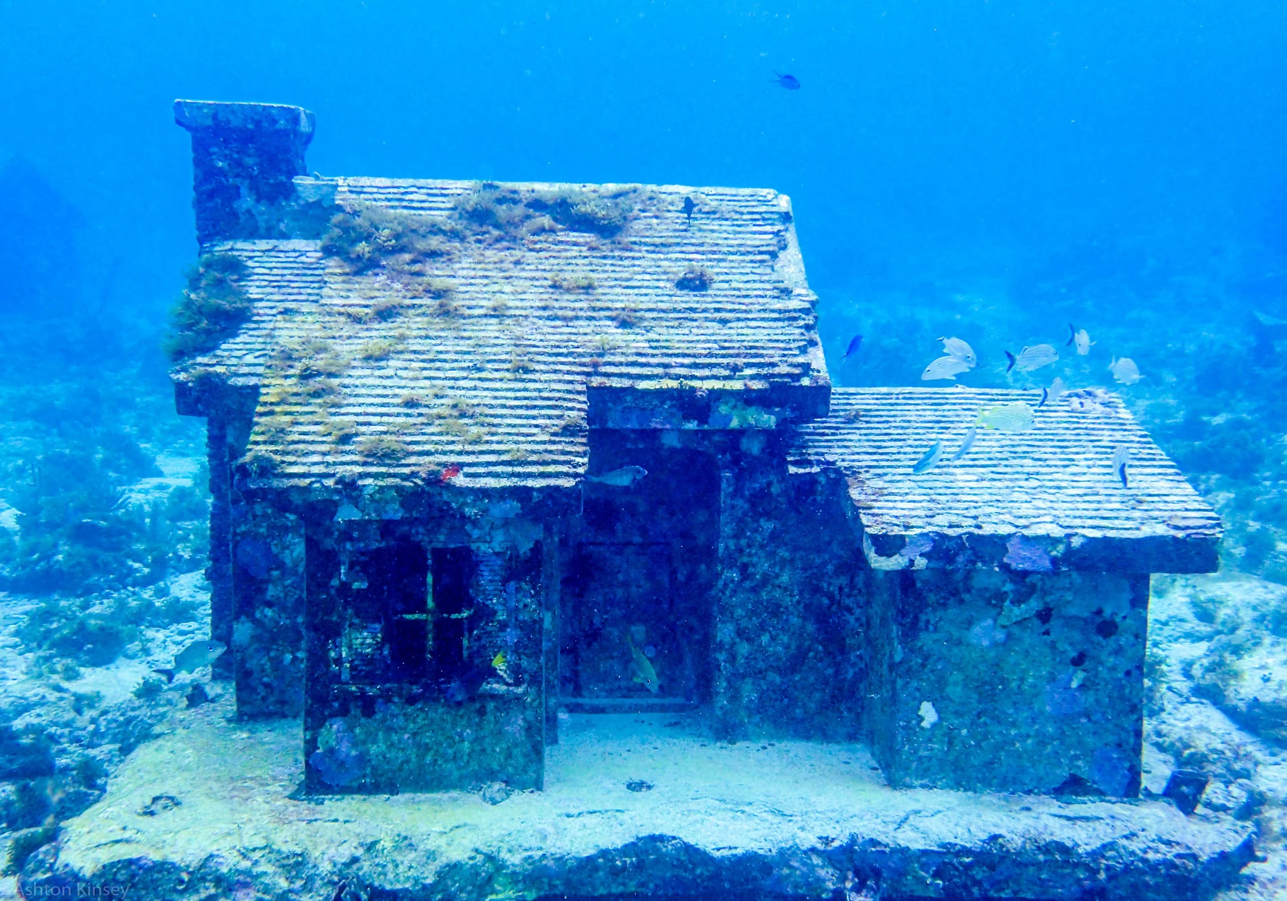 House.jpg