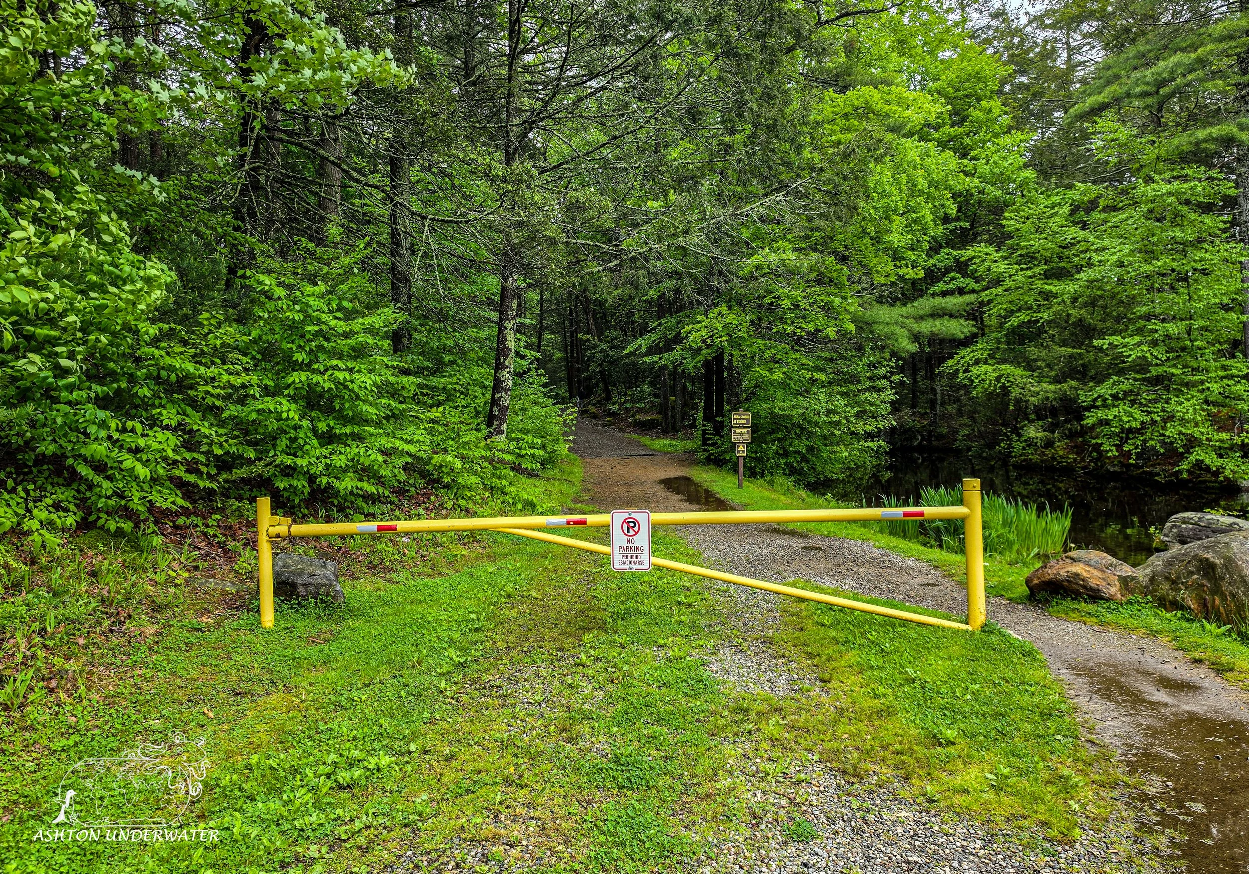 Drive to CT-5.jpg