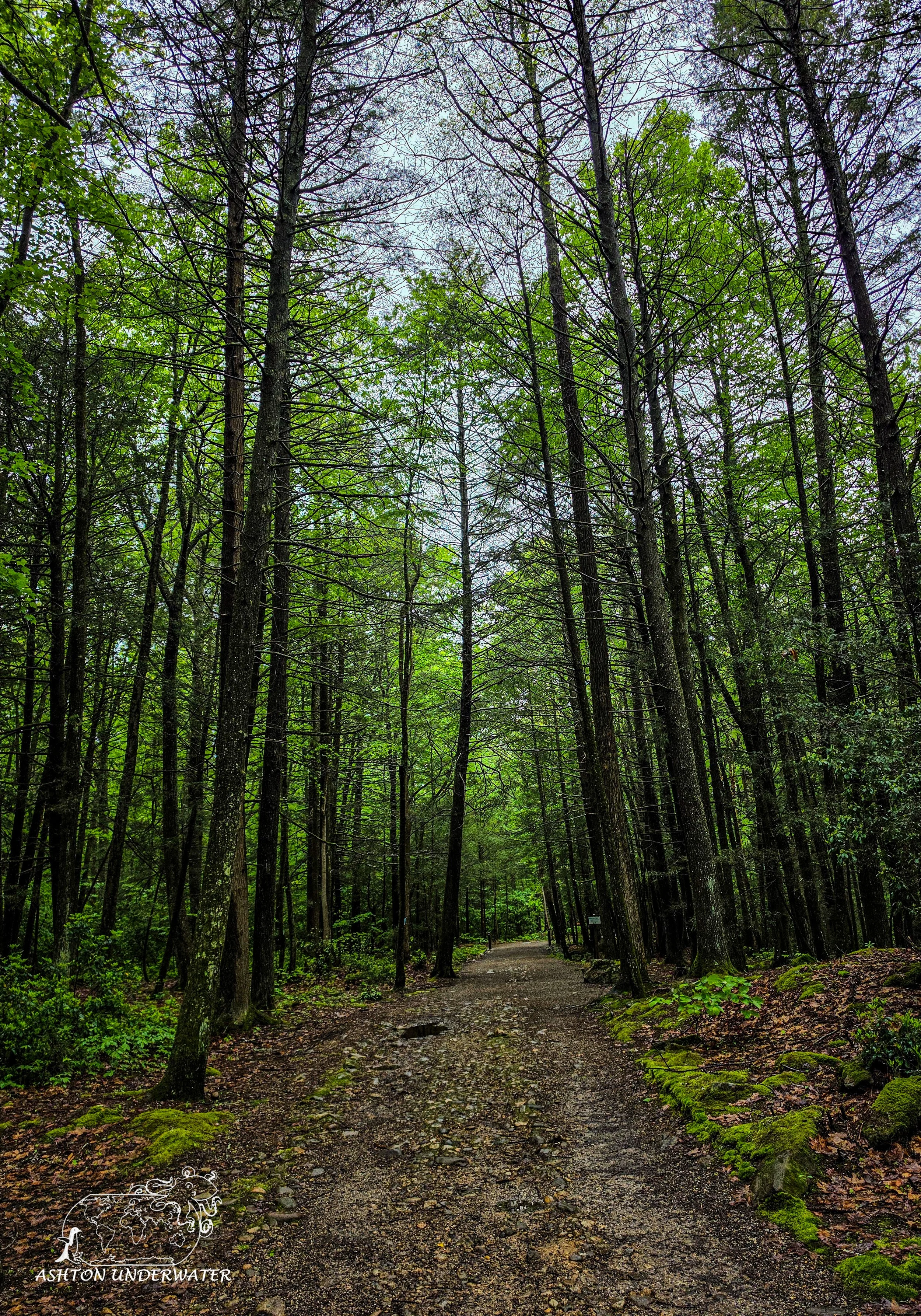Drive to CT-6.jpg