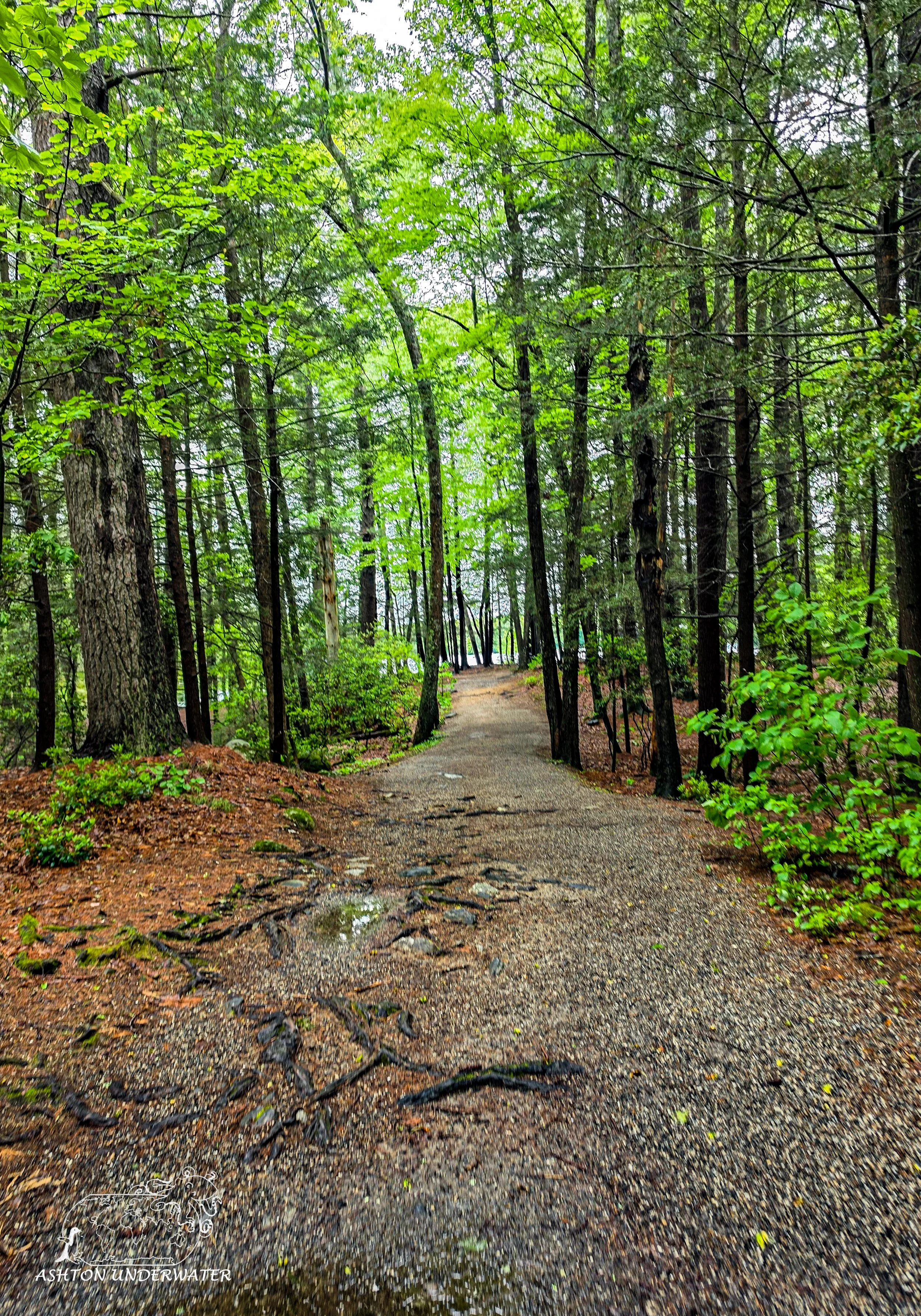 Drive to CT-7.jpg