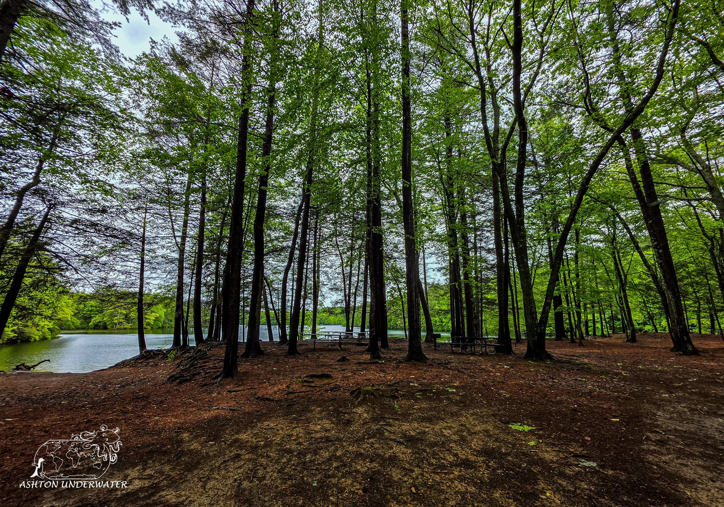 Drive to CT-8.jpg