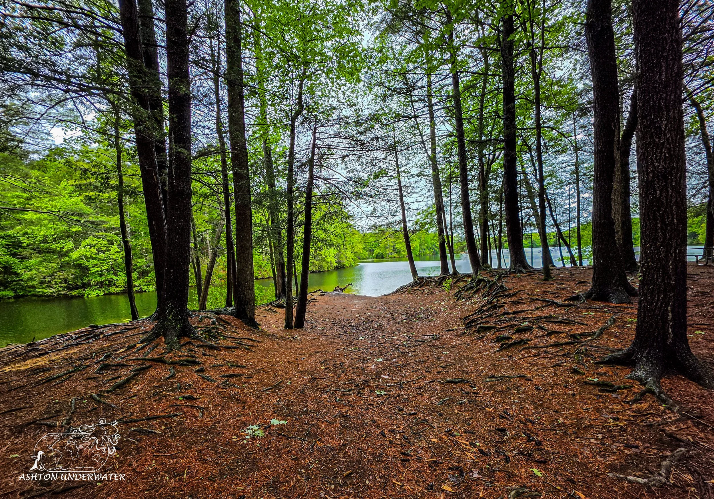 Drive to CT-9.jpg