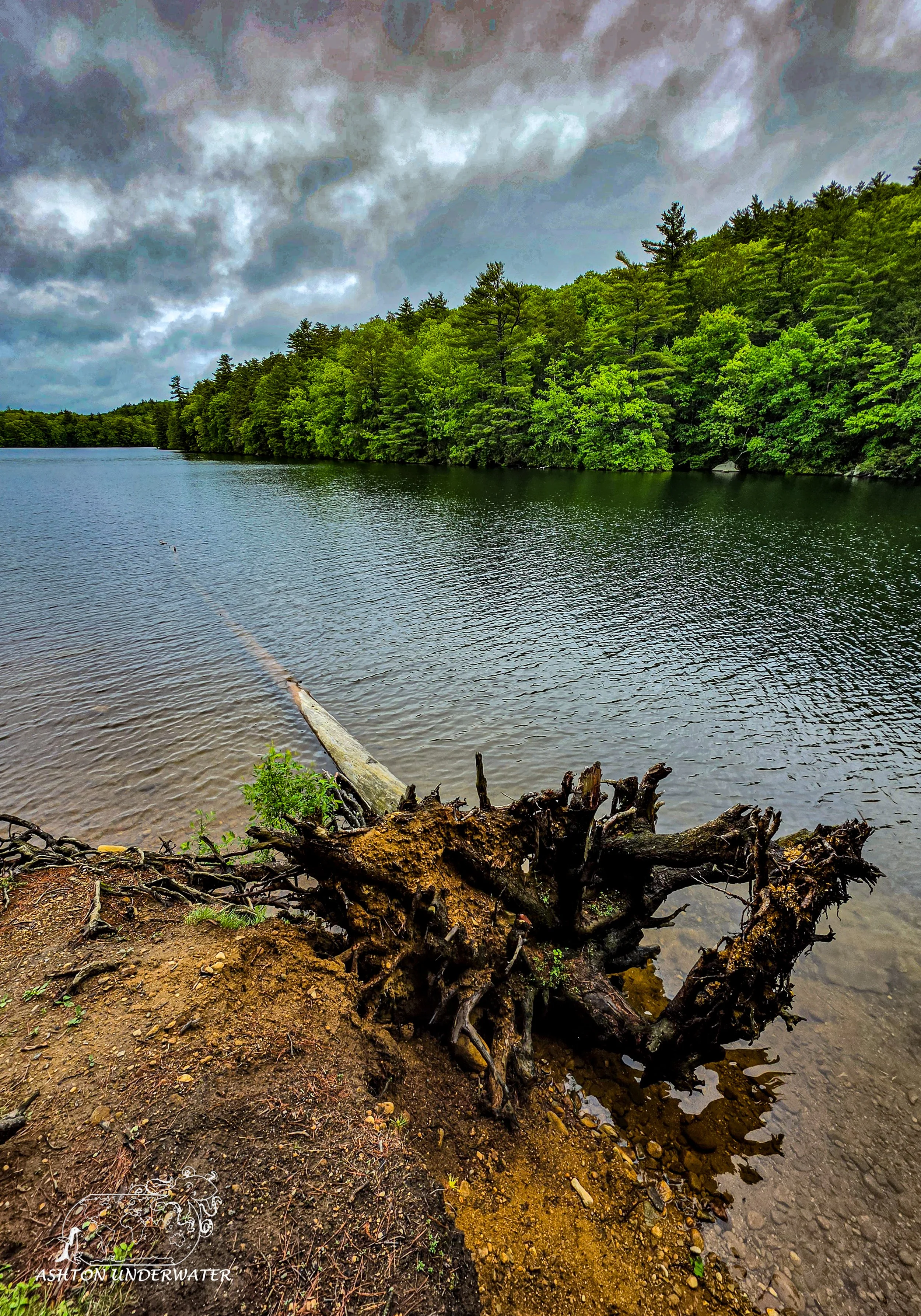 Drive to CT-12.jpg