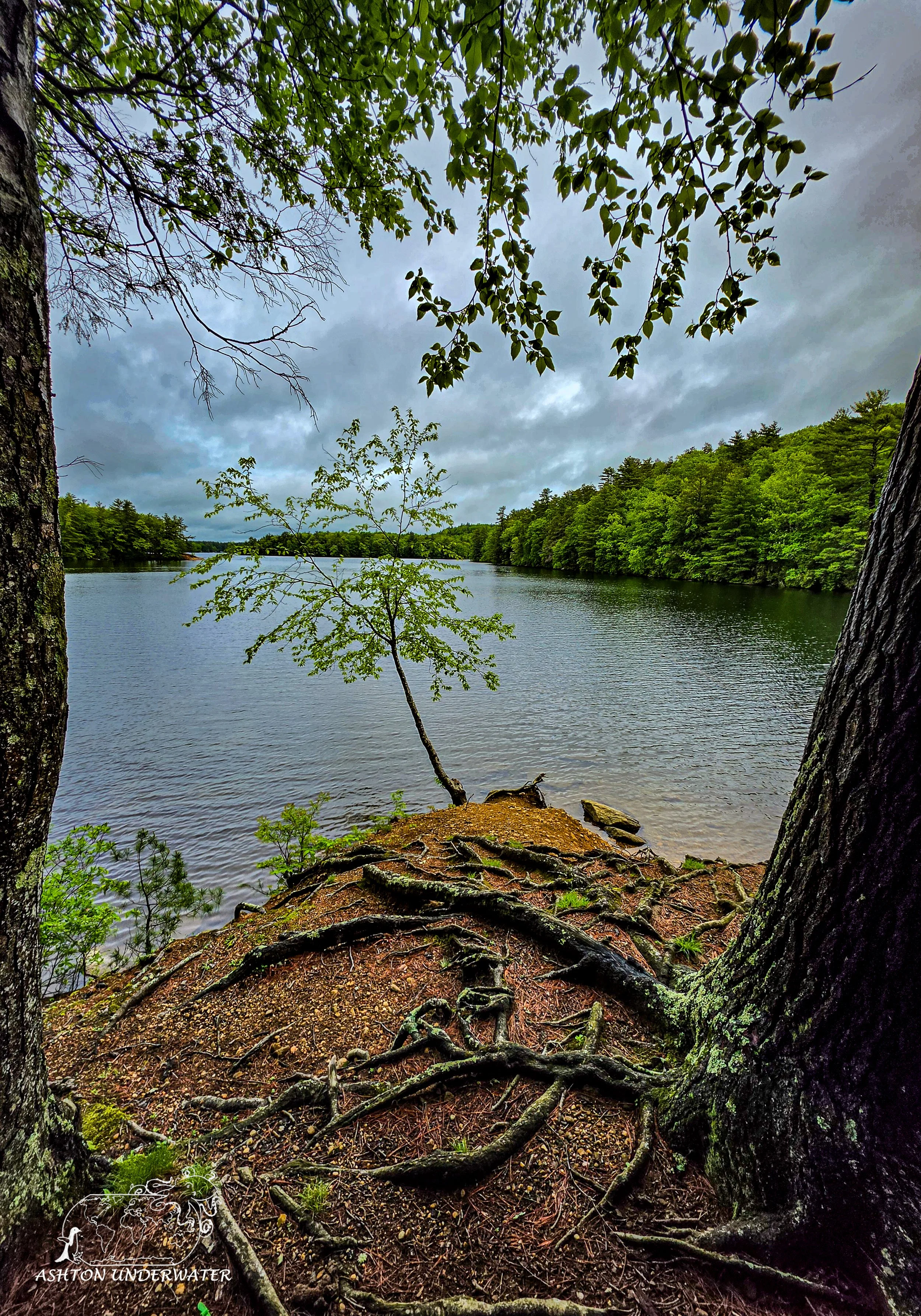 Drive to CT-13.jpg
