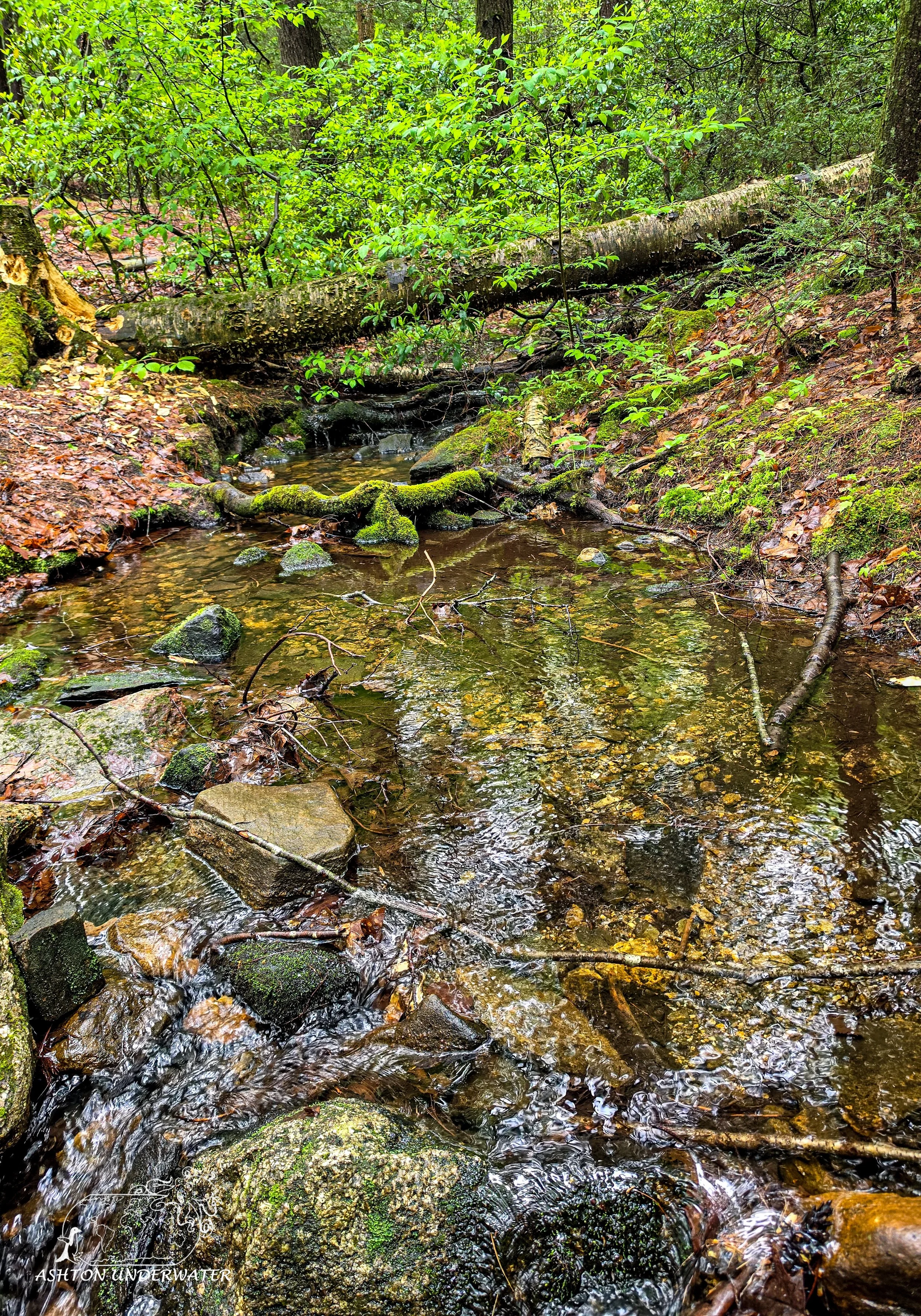 Drive to CT-15.jpg
