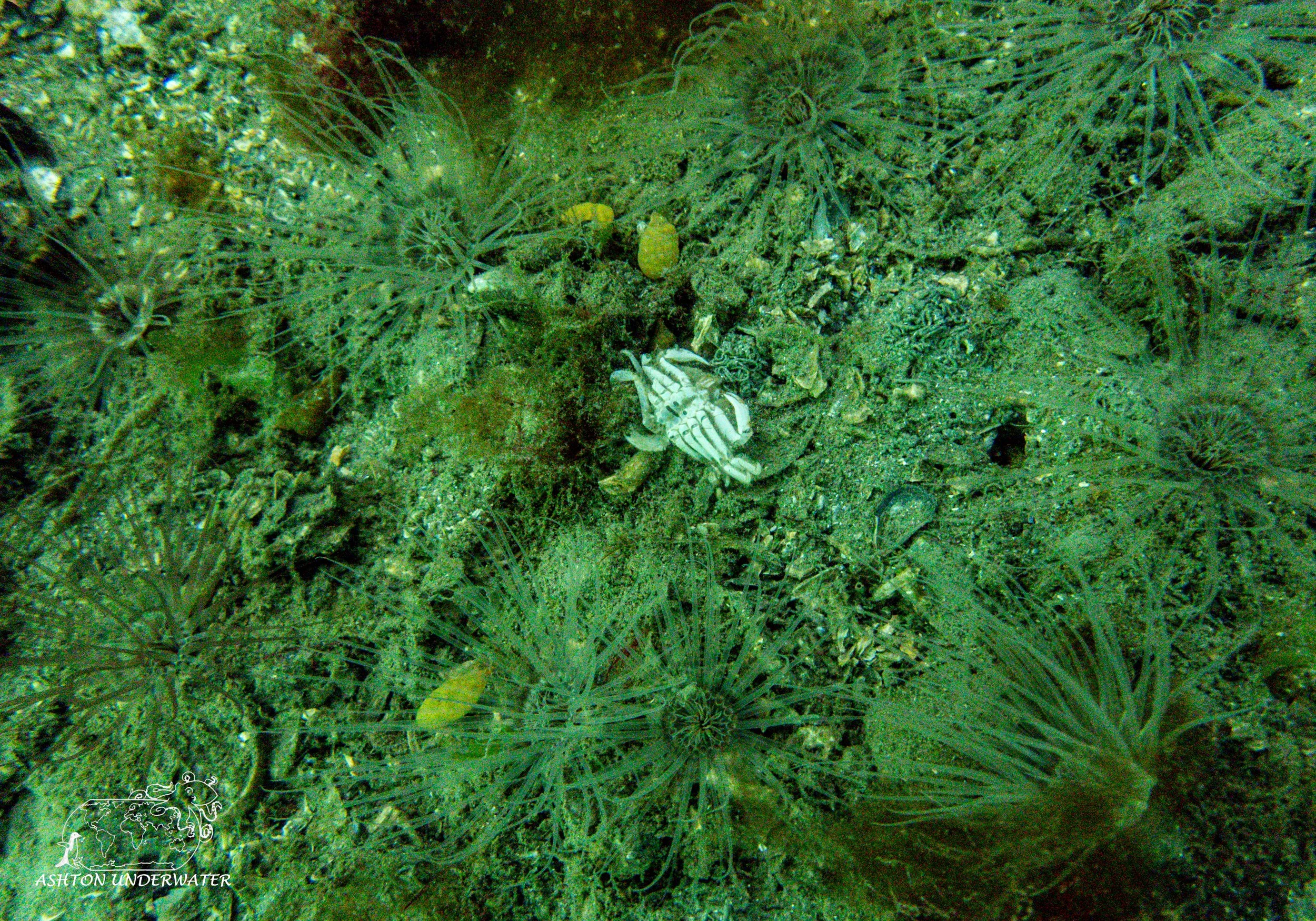 Ft. Wetherhill, RI-11.jpg