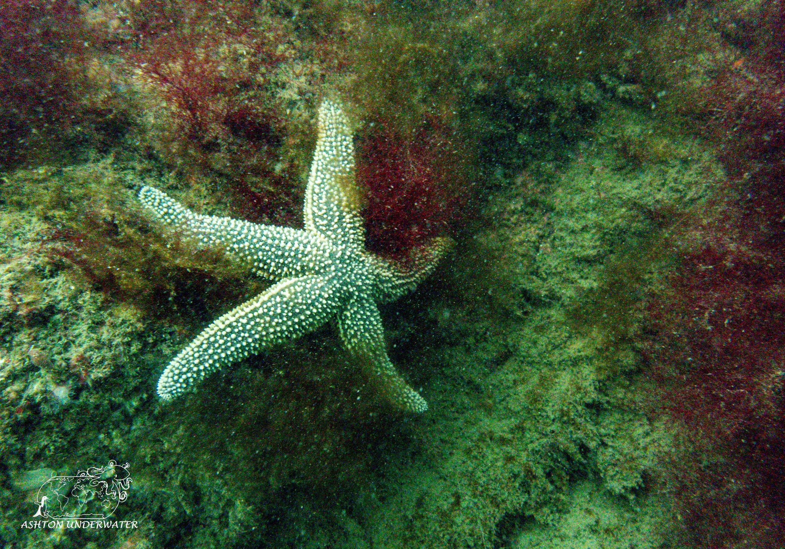Ft. Wetherhill, RI-14.jpg