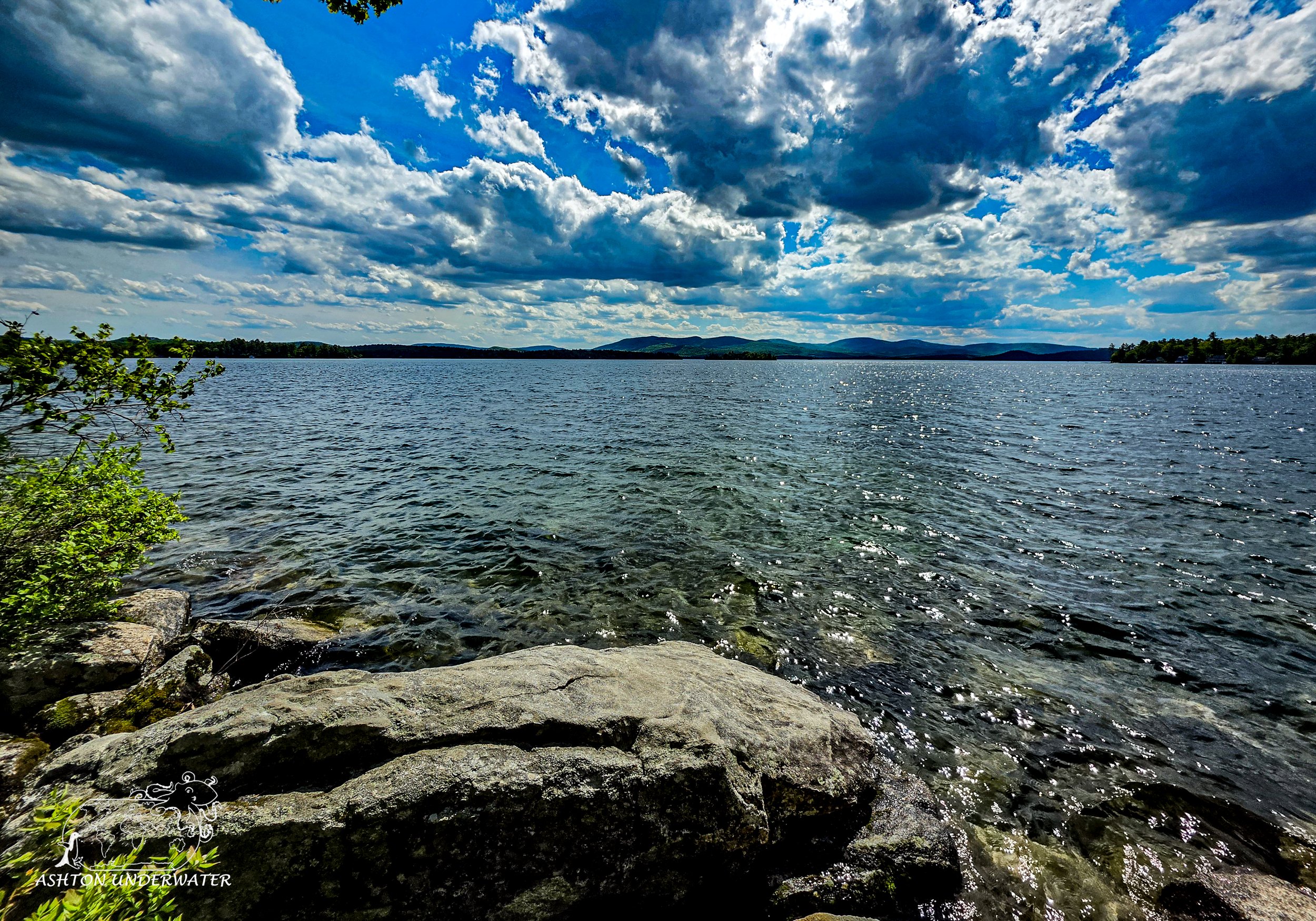 McKinney Park-29.jpg