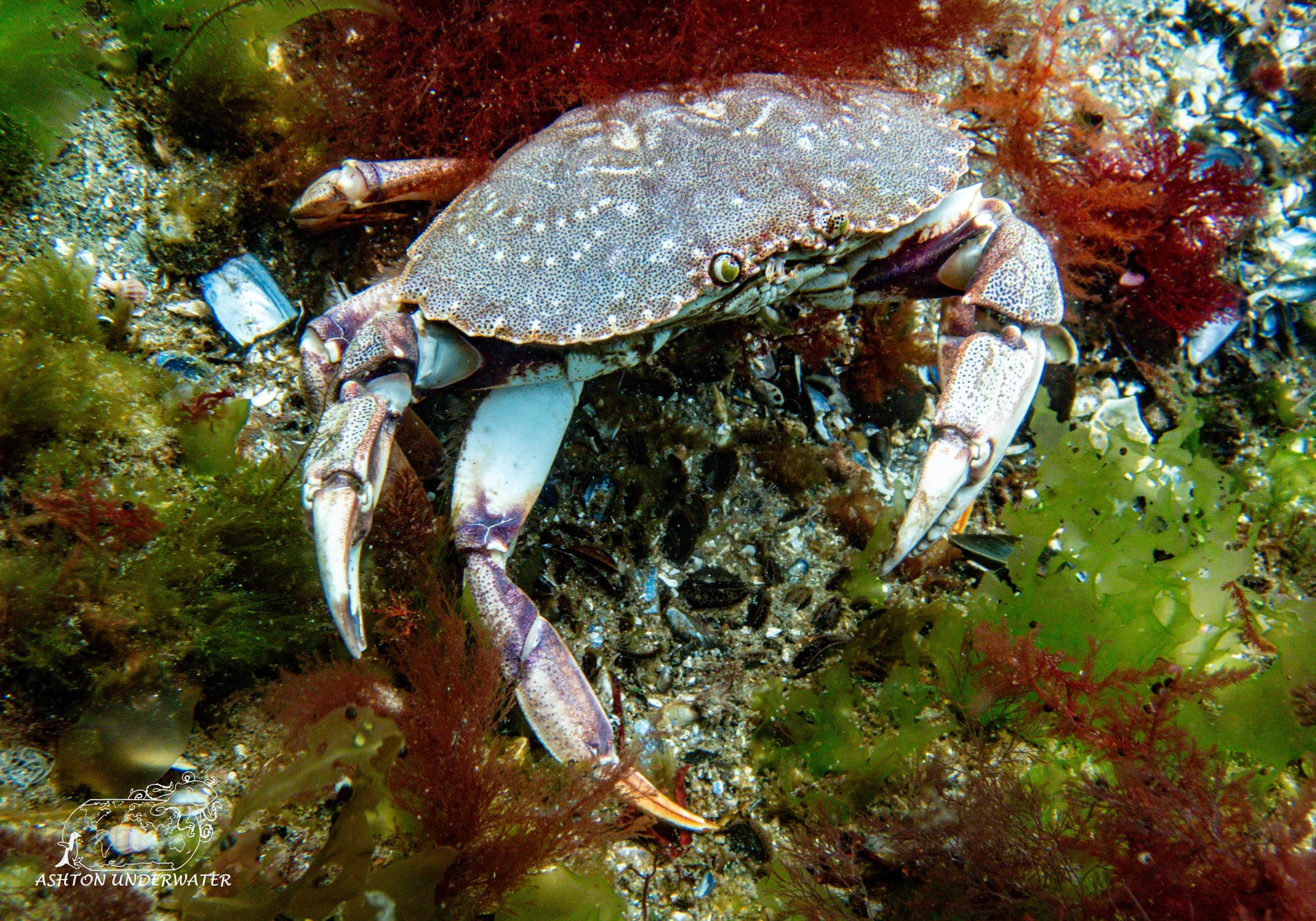 Maine-11.jpg