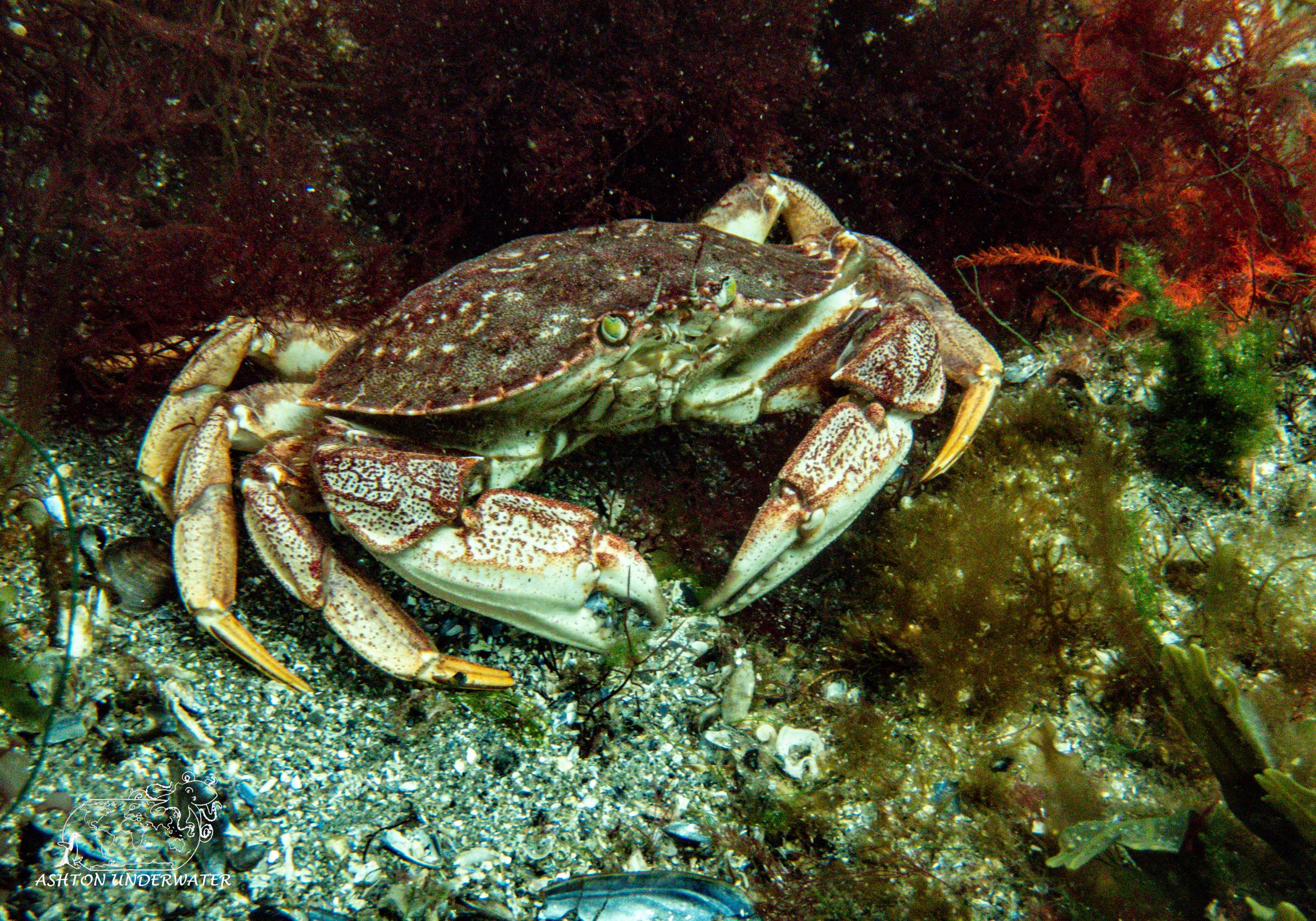 Maine-15.jpg
