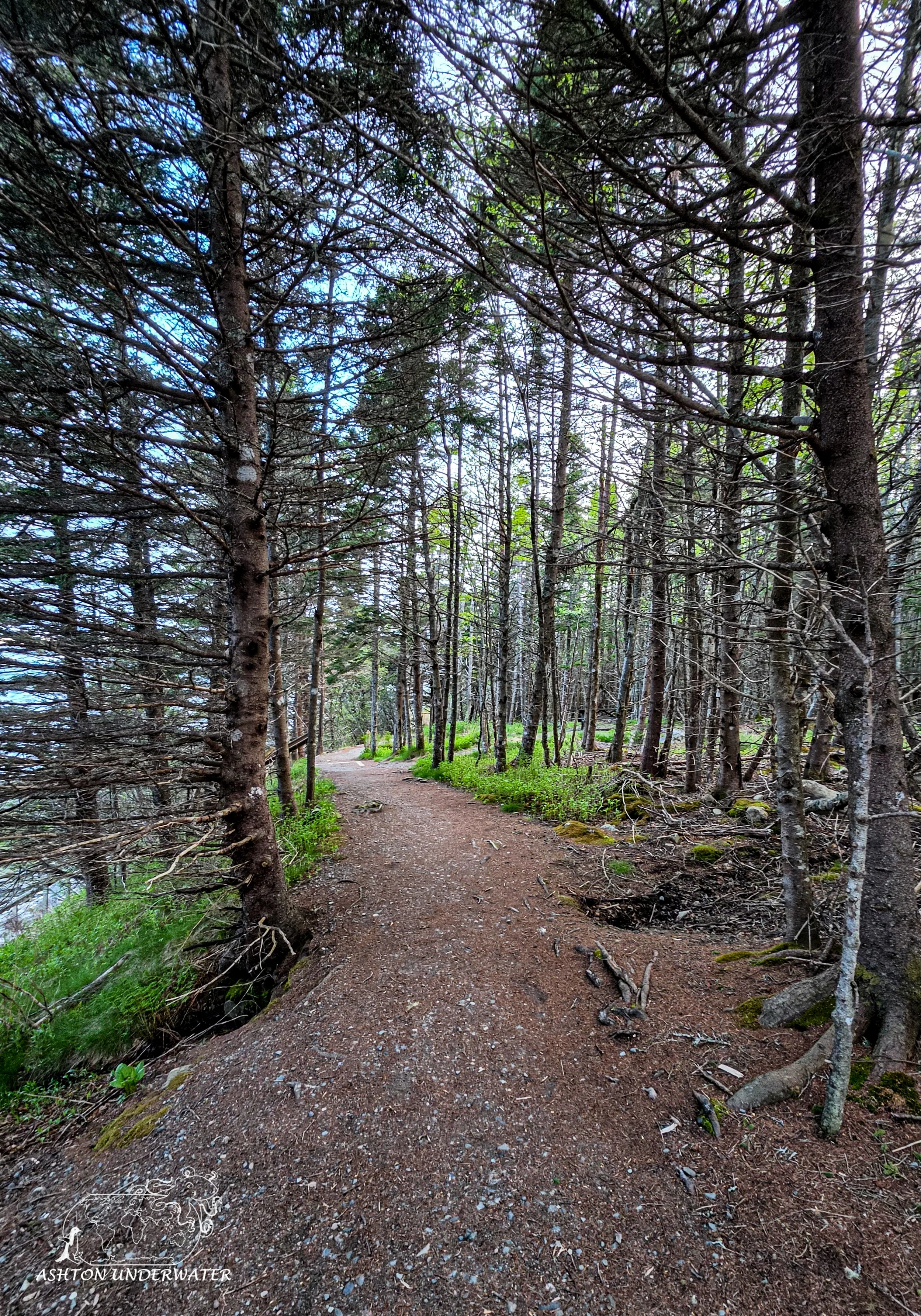 Maine-44.jpg