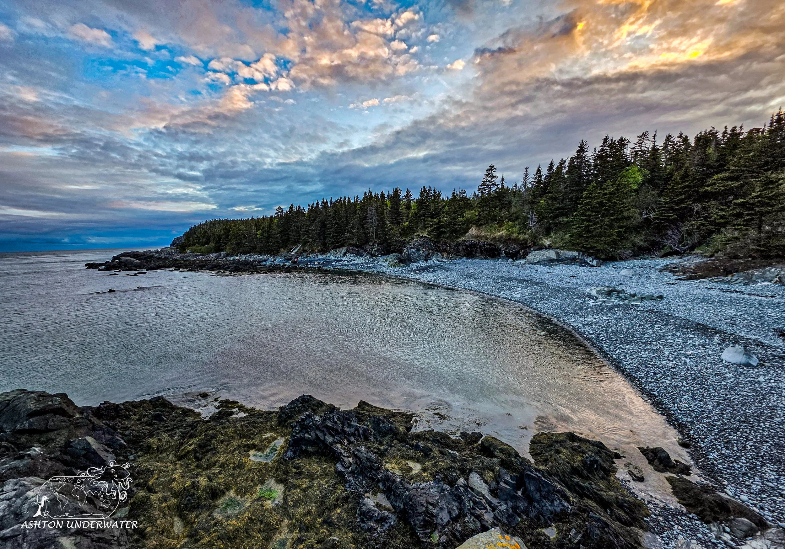 Maine-47.jpg