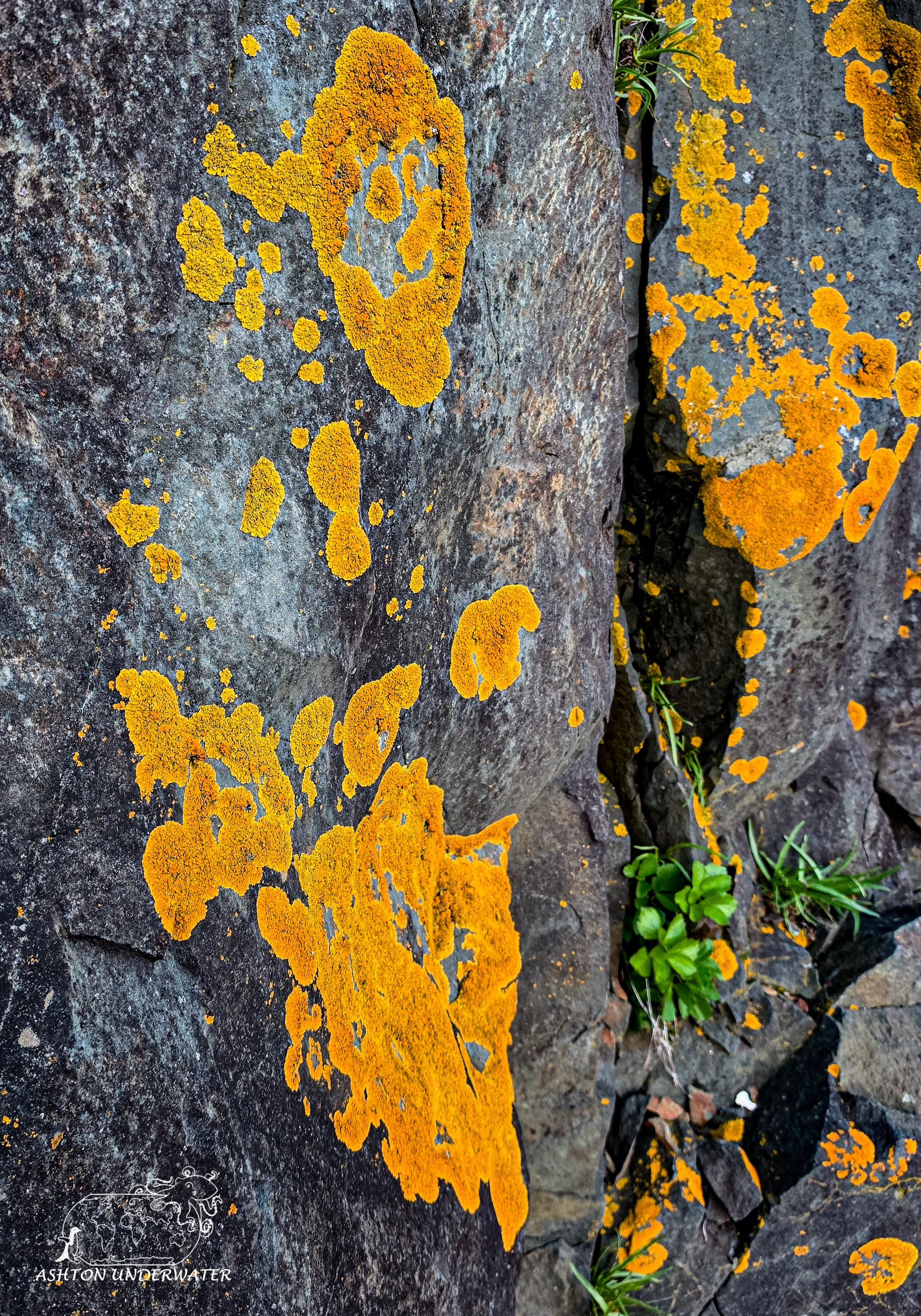 Maine-46.jpg