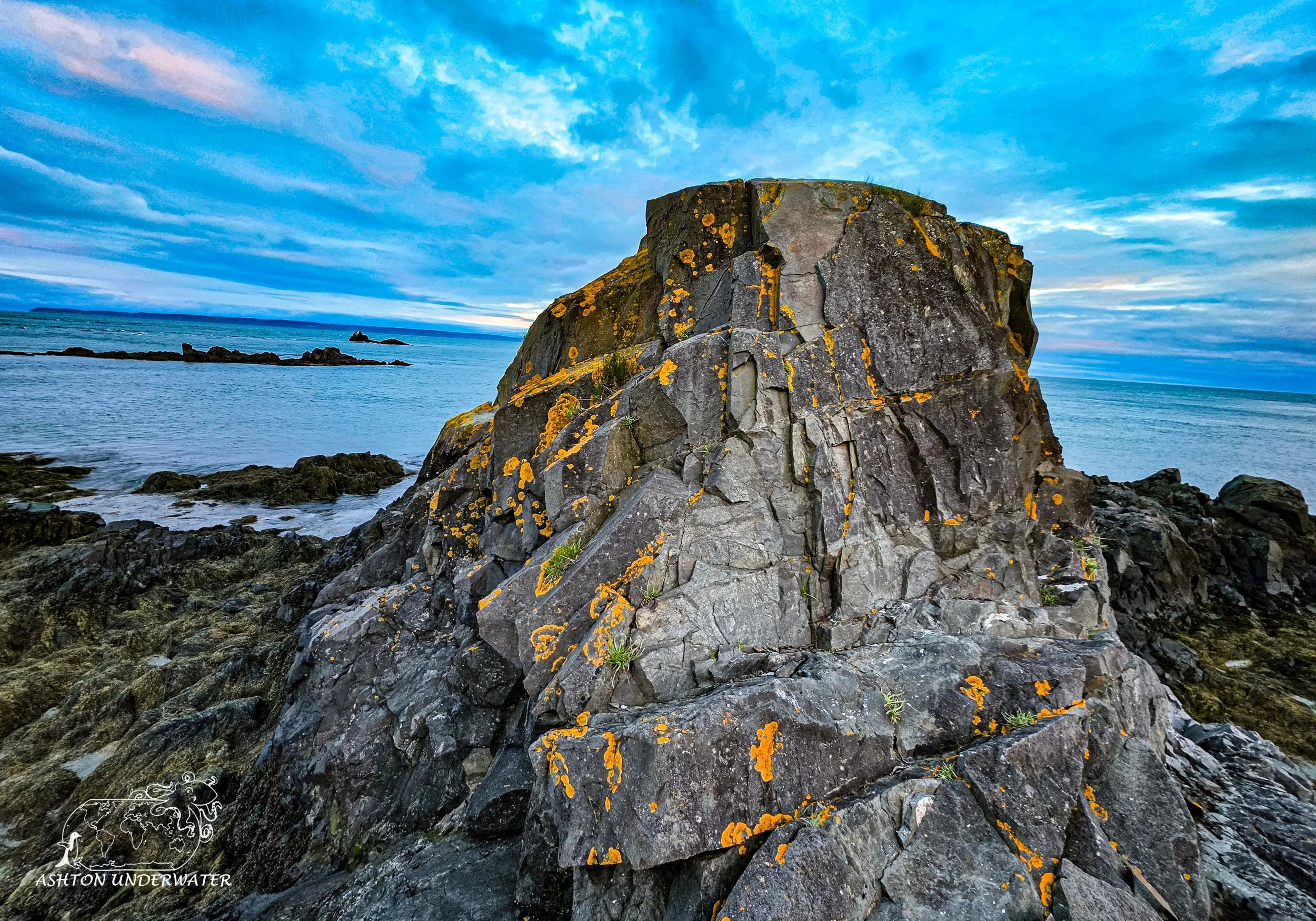 Maine-48.jpg