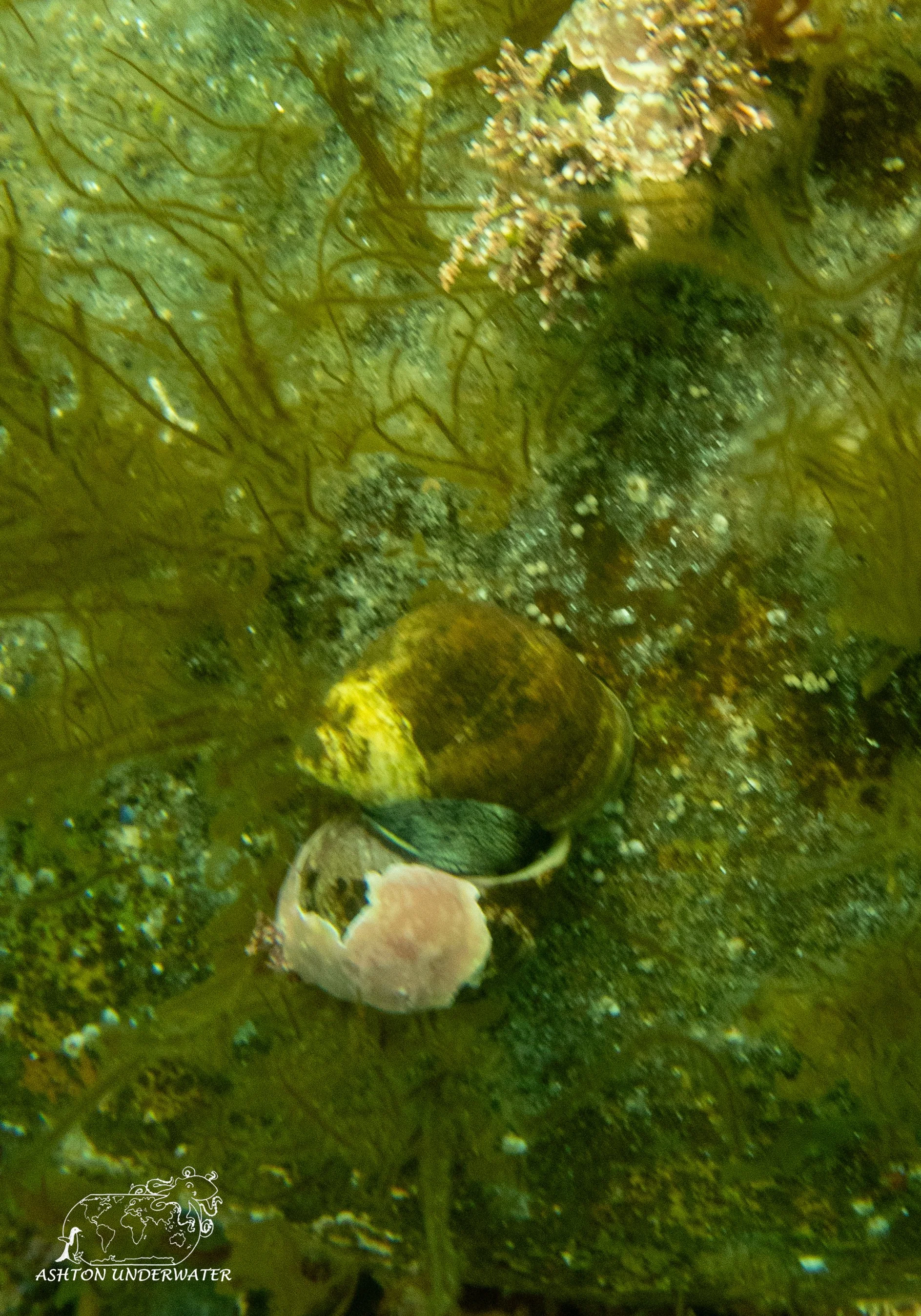Maine-32.jpg
