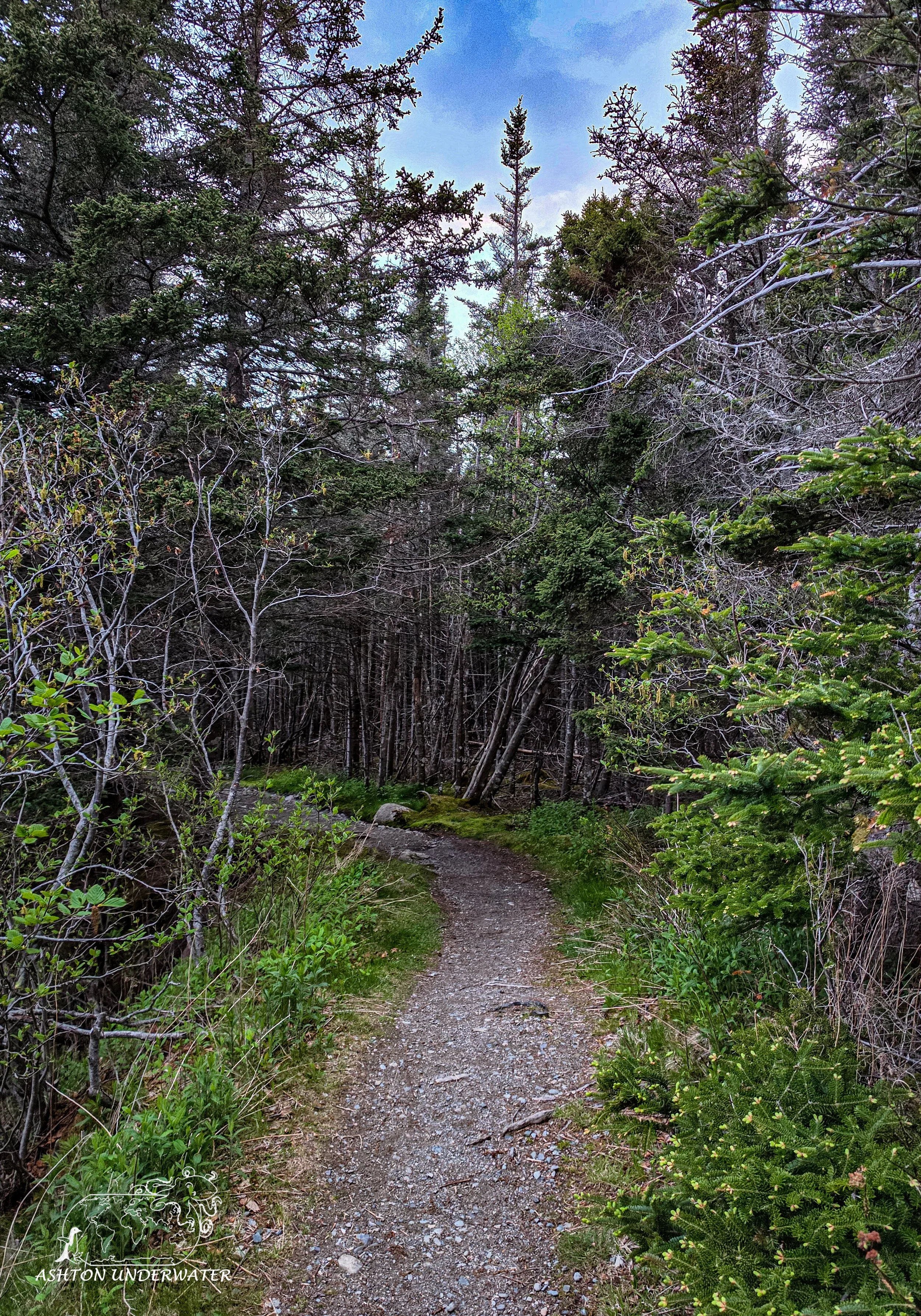 Maine-53.jpg