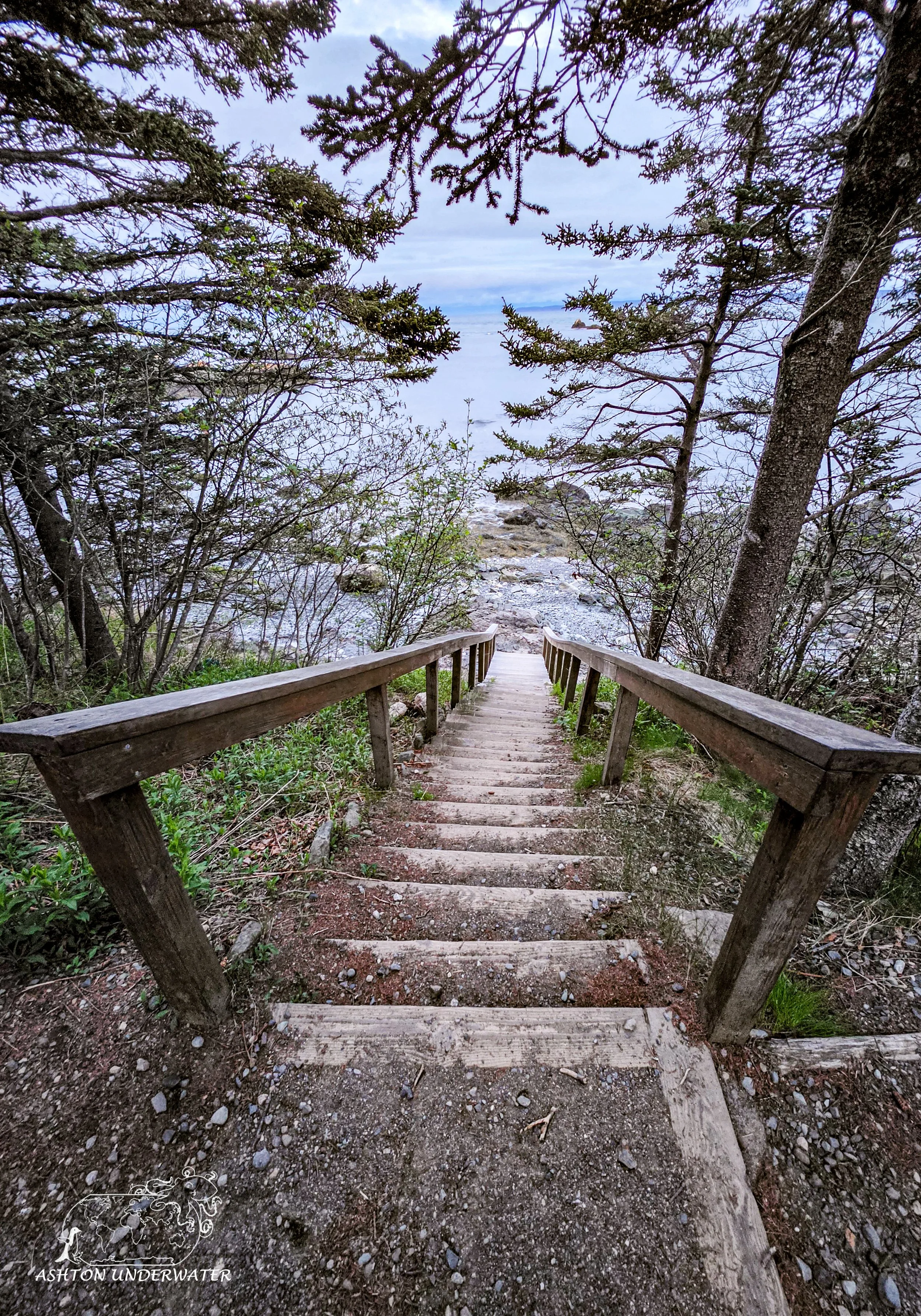 Maine-60.jpg