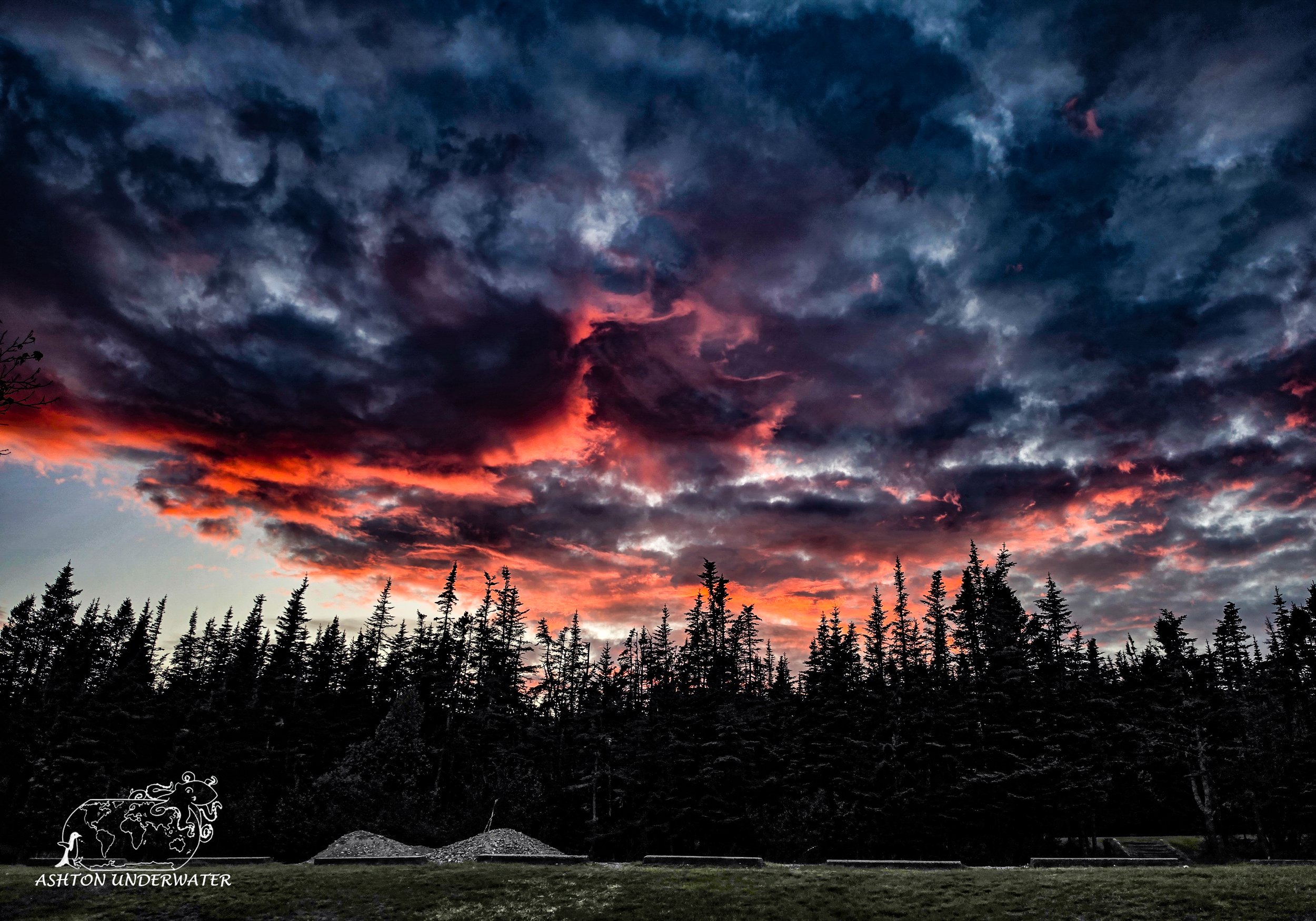 Maine-61.jpg