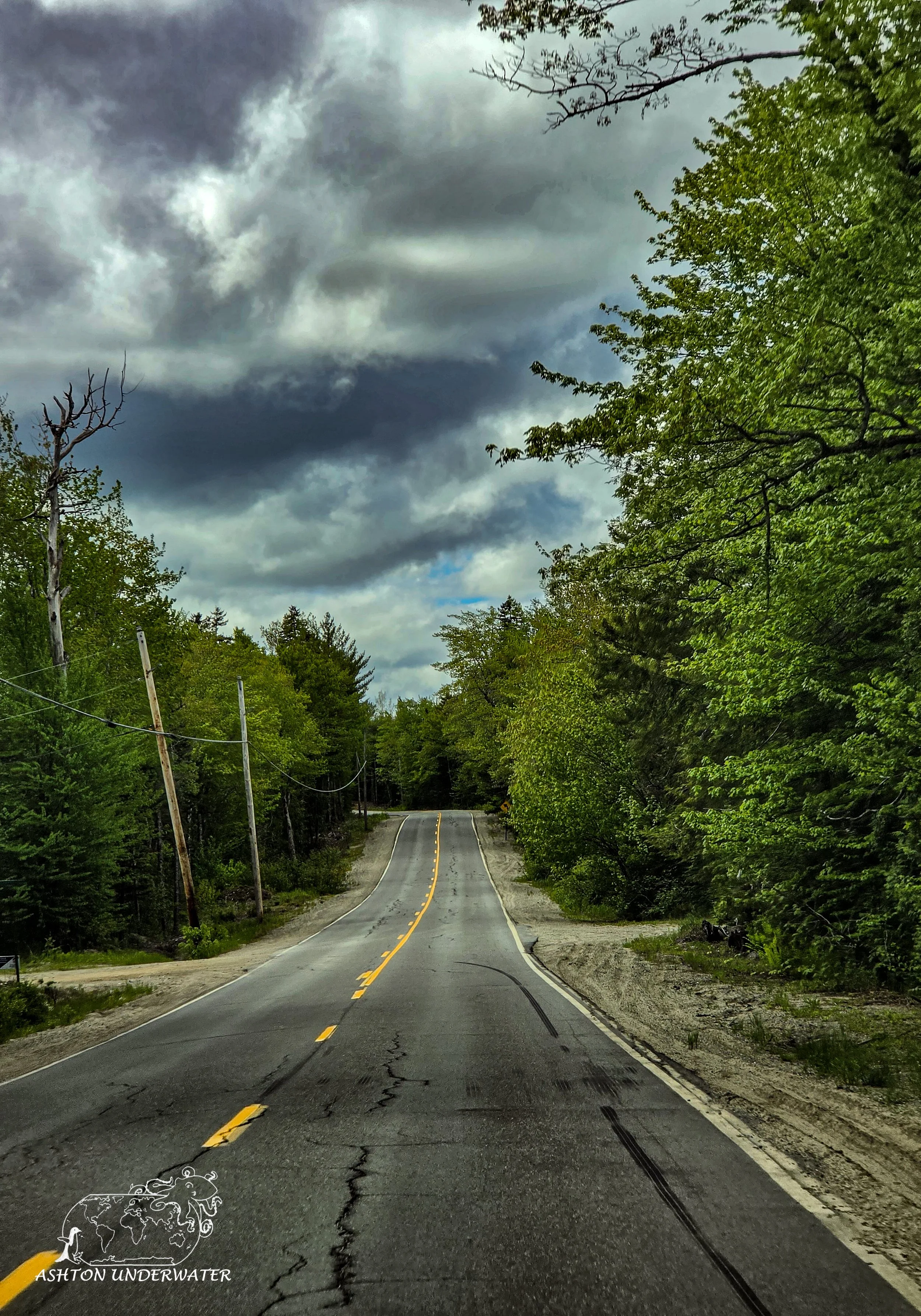 Maine-70.jpg