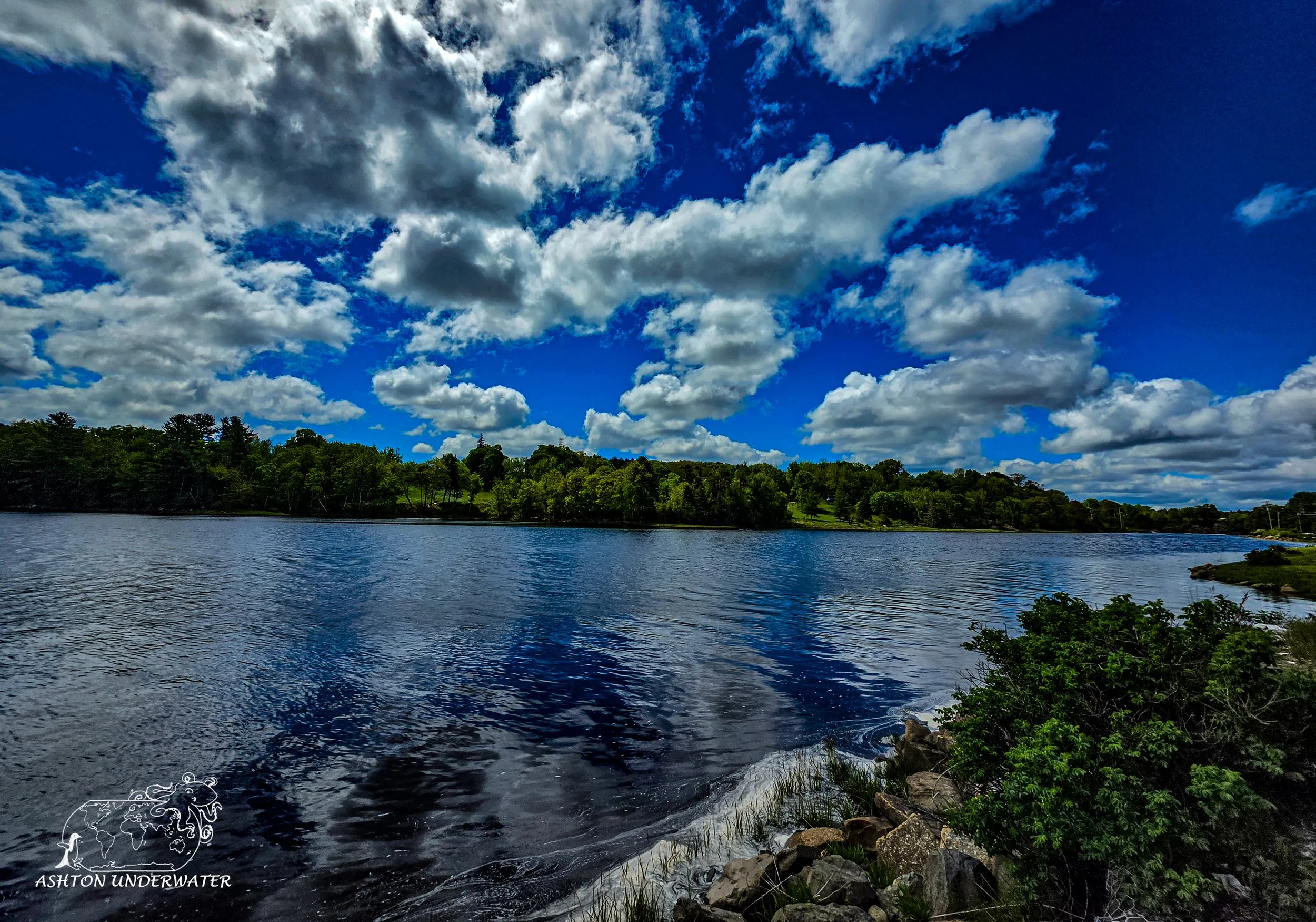 Maine-71.jpg