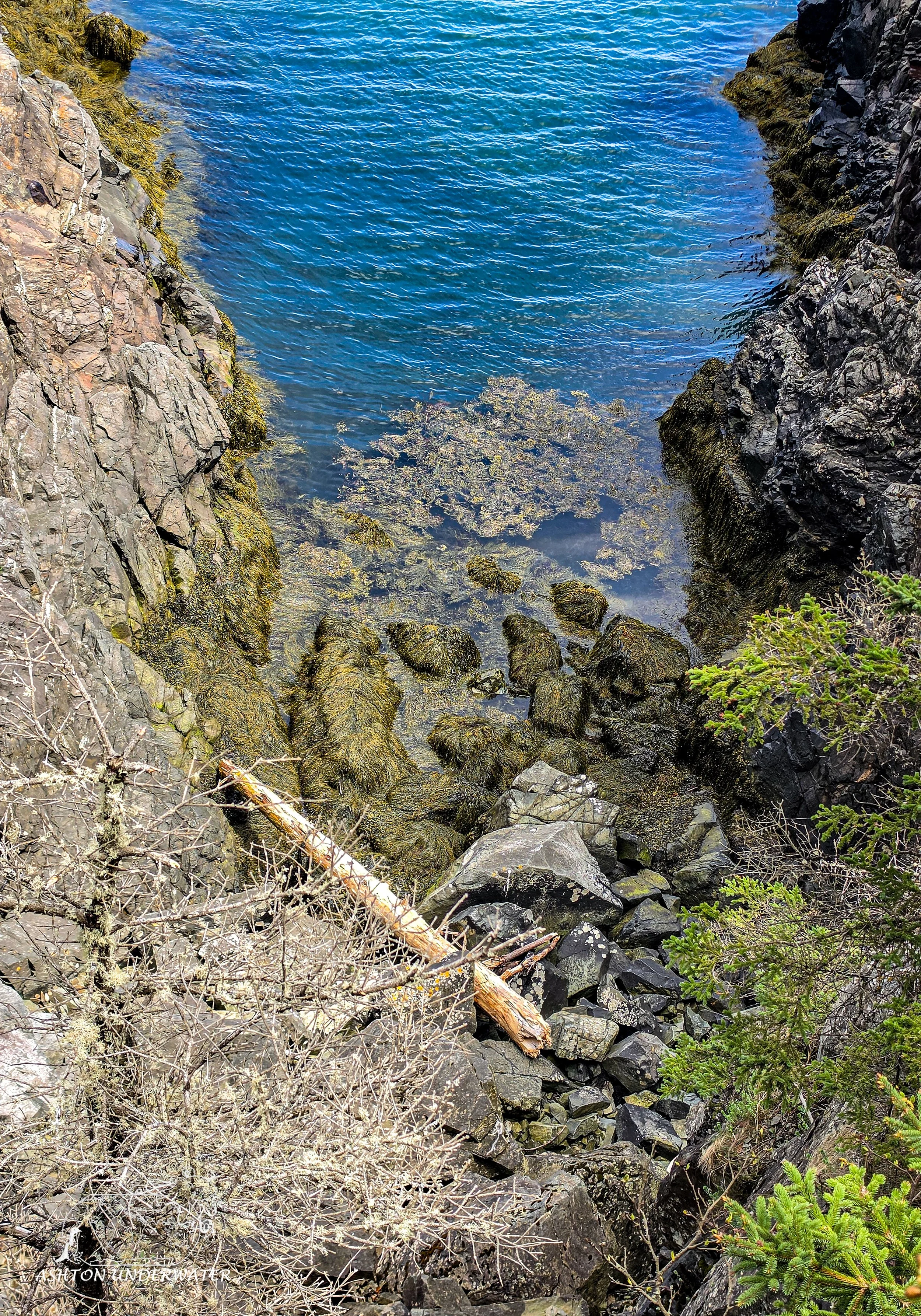 Maine-79.jpg
