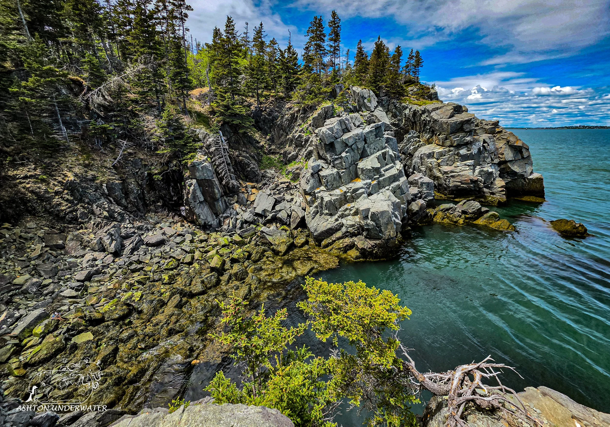 Maine-83.jpg