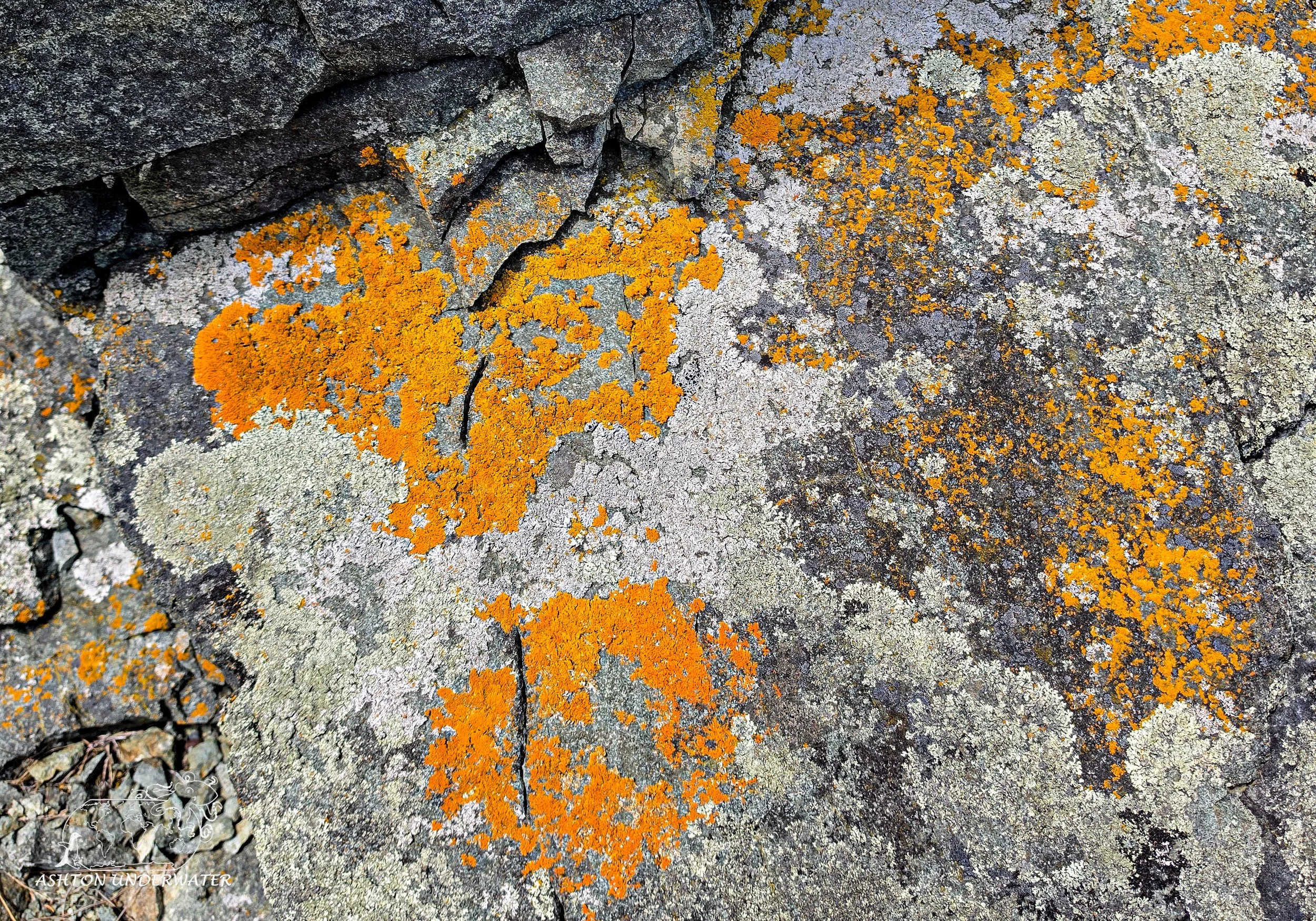 Maine-85.jpg