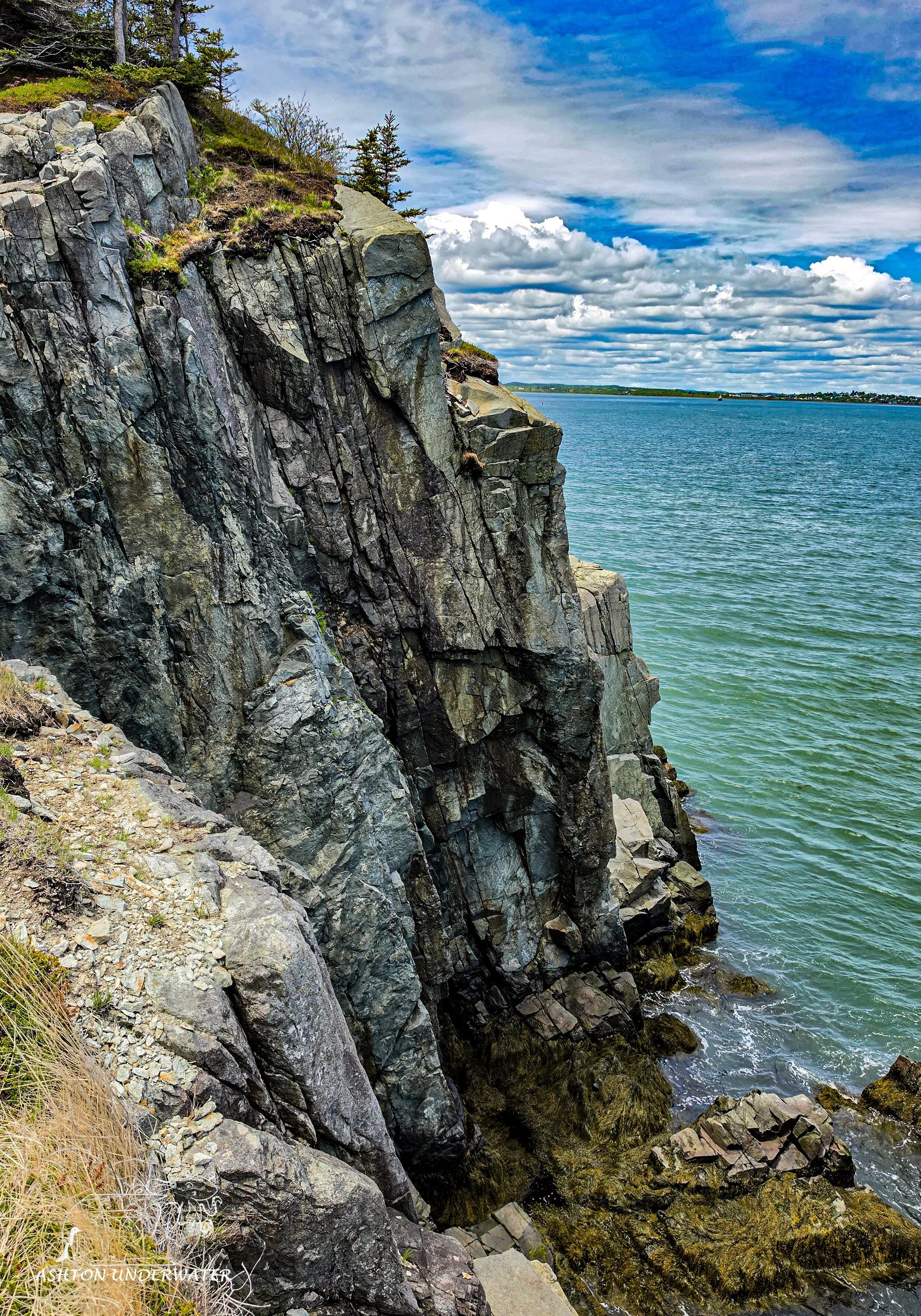 Maine-87.jpg