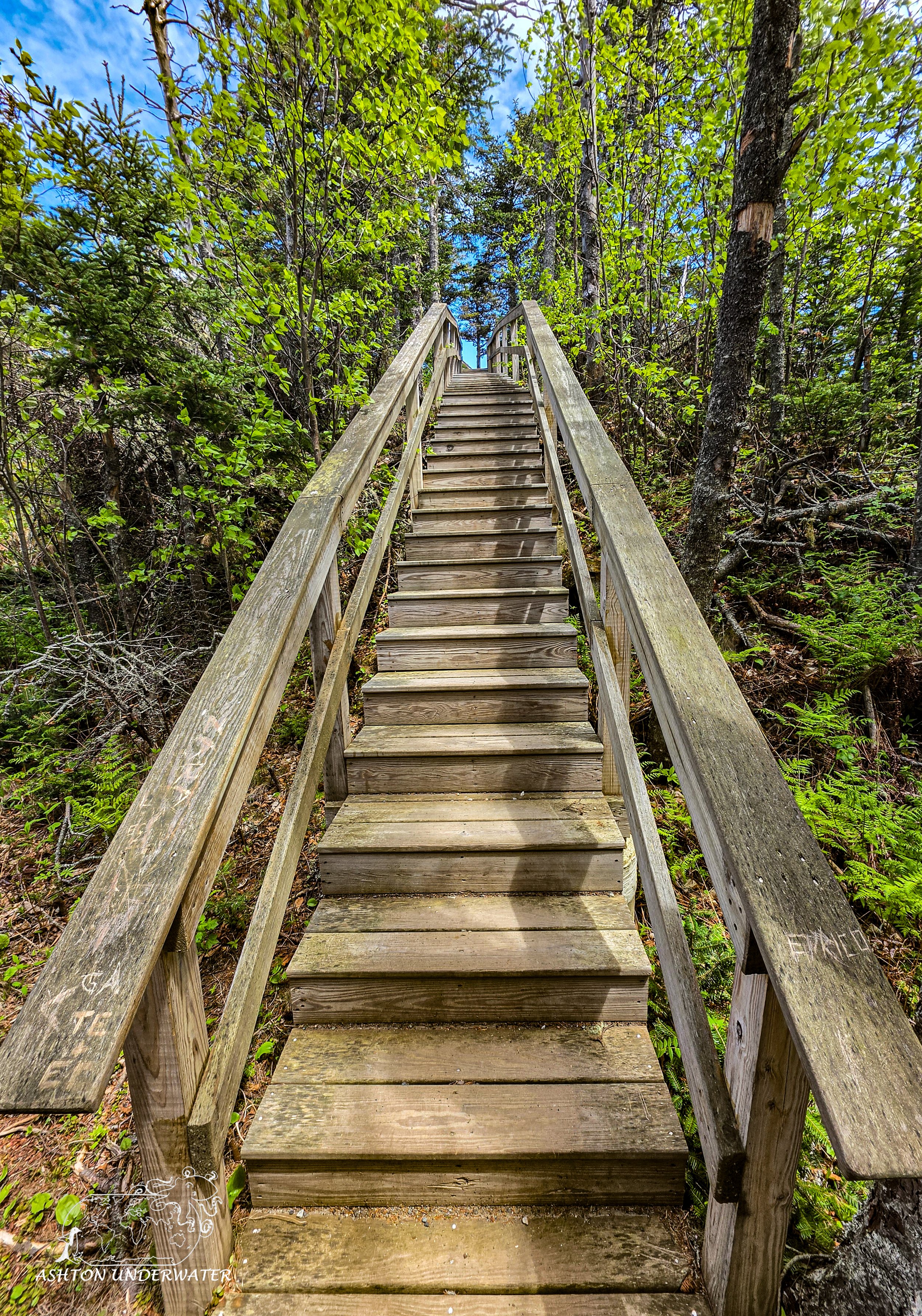 Maine-89.jpg